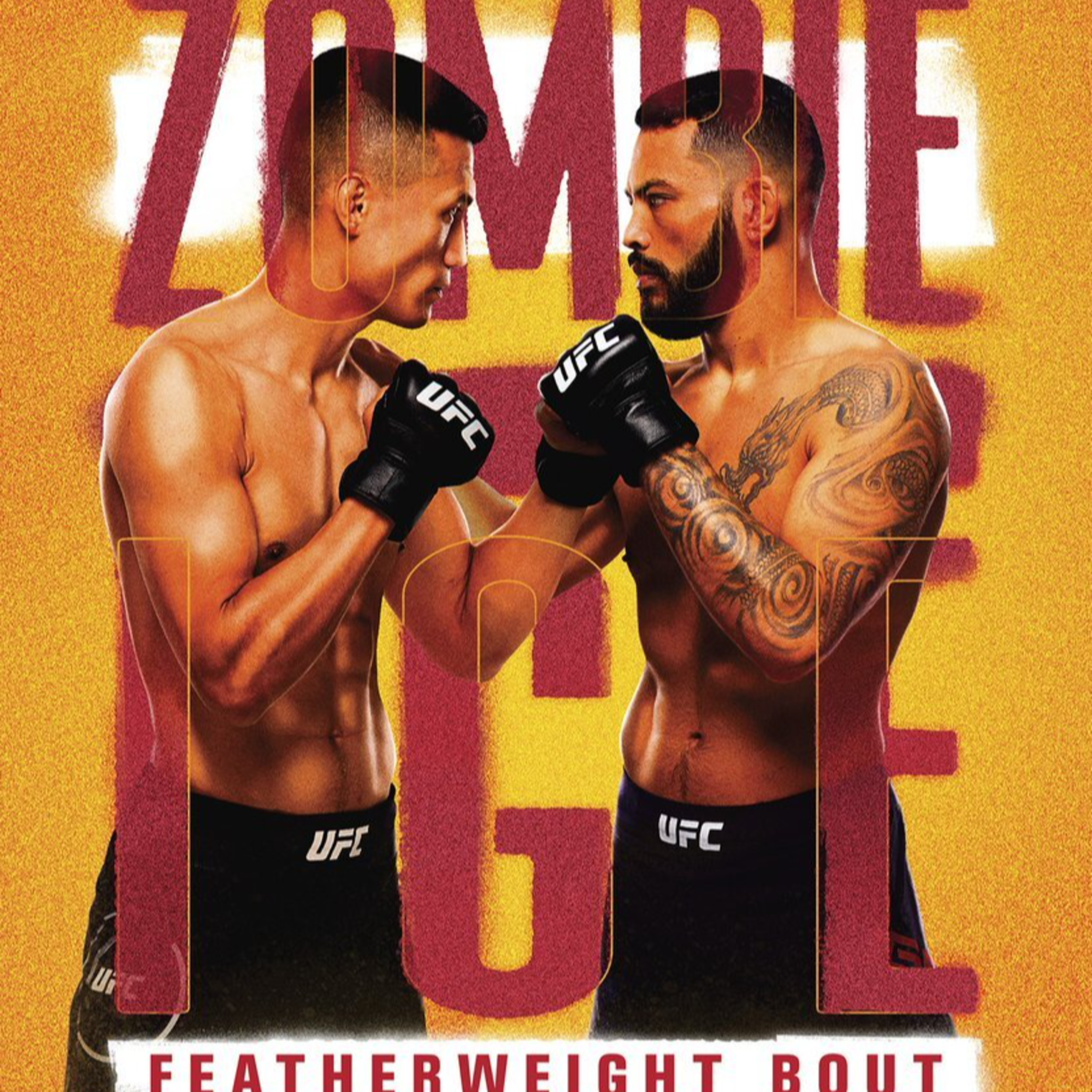 UFC Pre fight Podcast (Hindi)