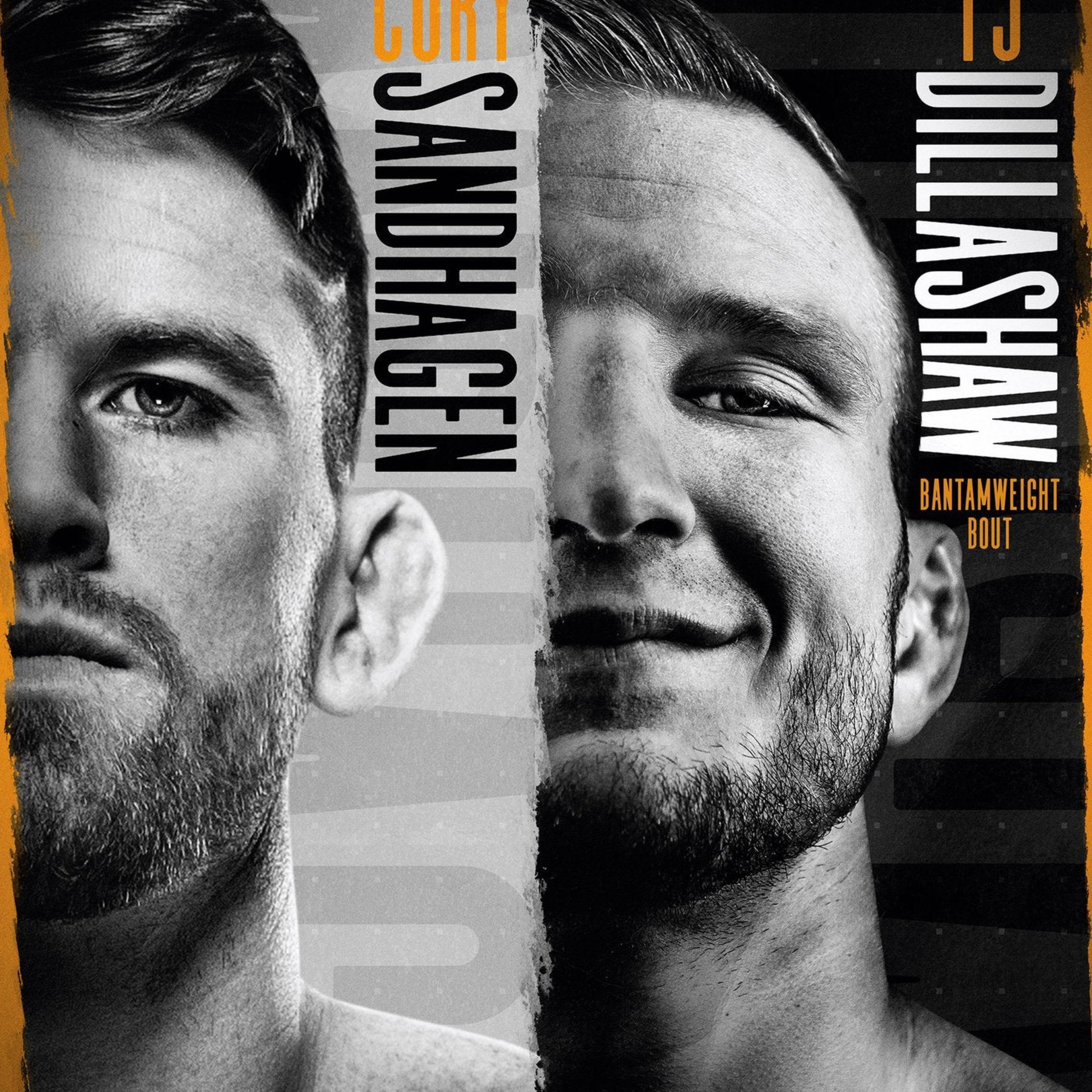 UFC Pre fight Podcast (Hindi)