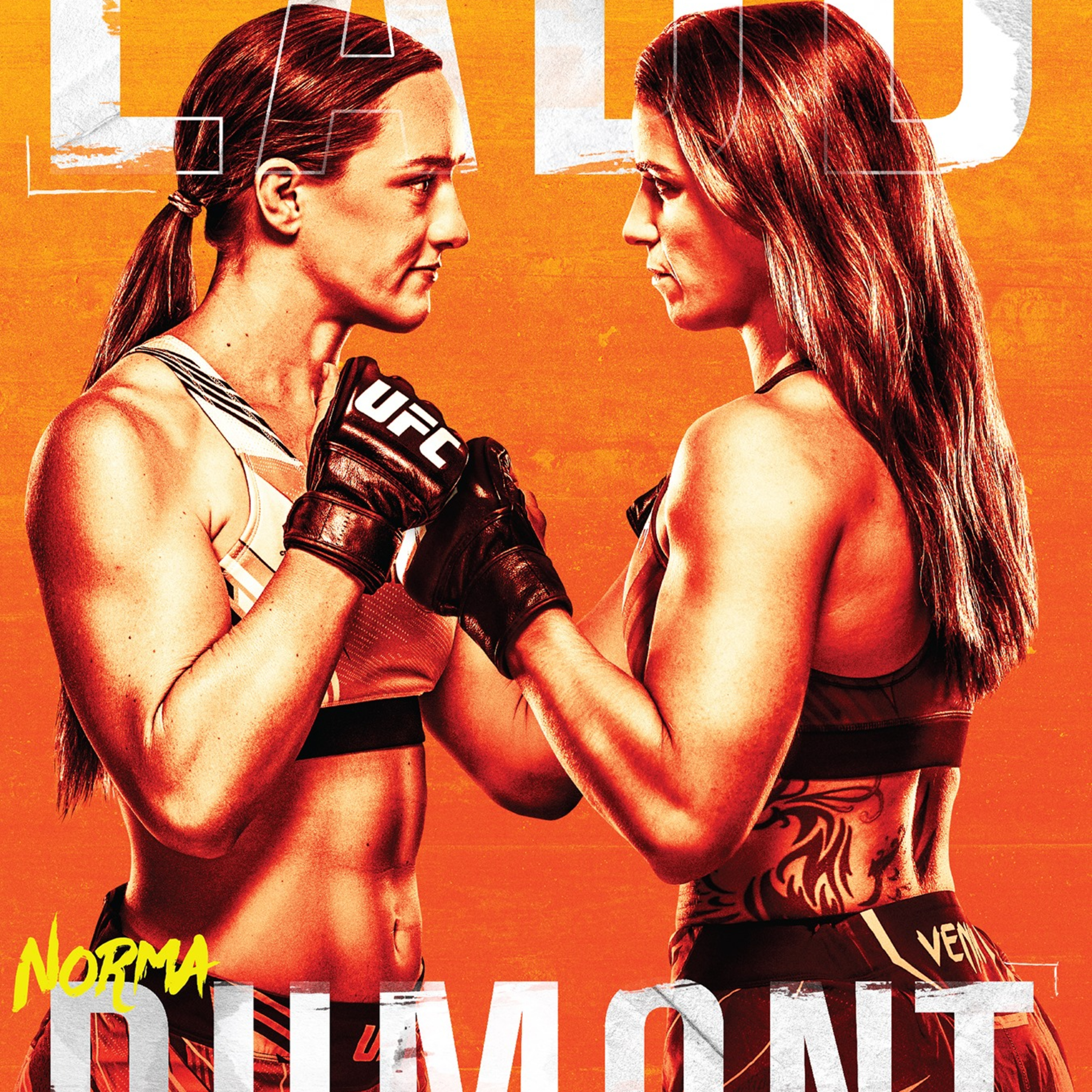 UFC Pre fight Podcast (Hindi)