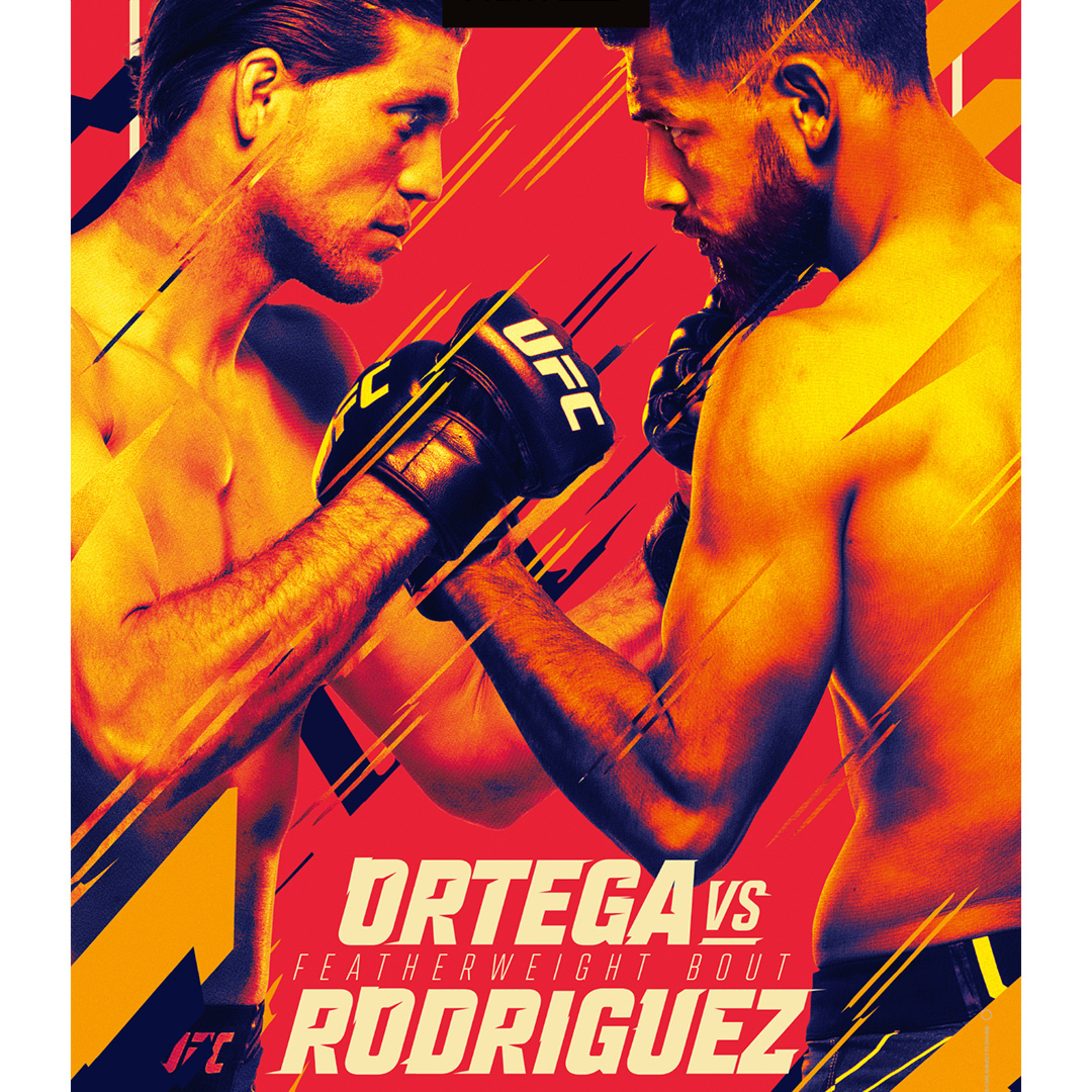 UFC Pre fight Podcast (Hindi)