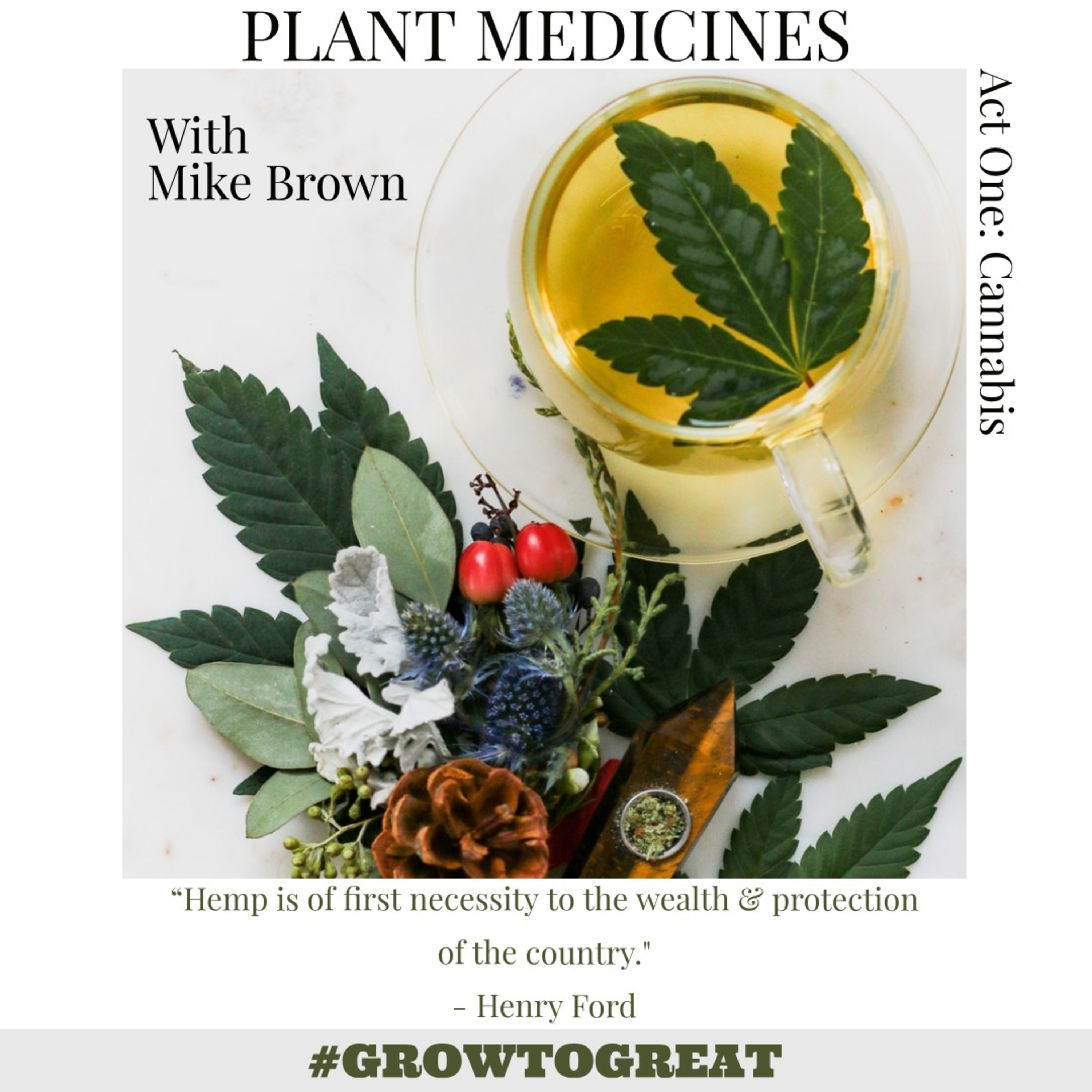 Plant Medicines with Heather DeRose - CEO of Green House Healthy