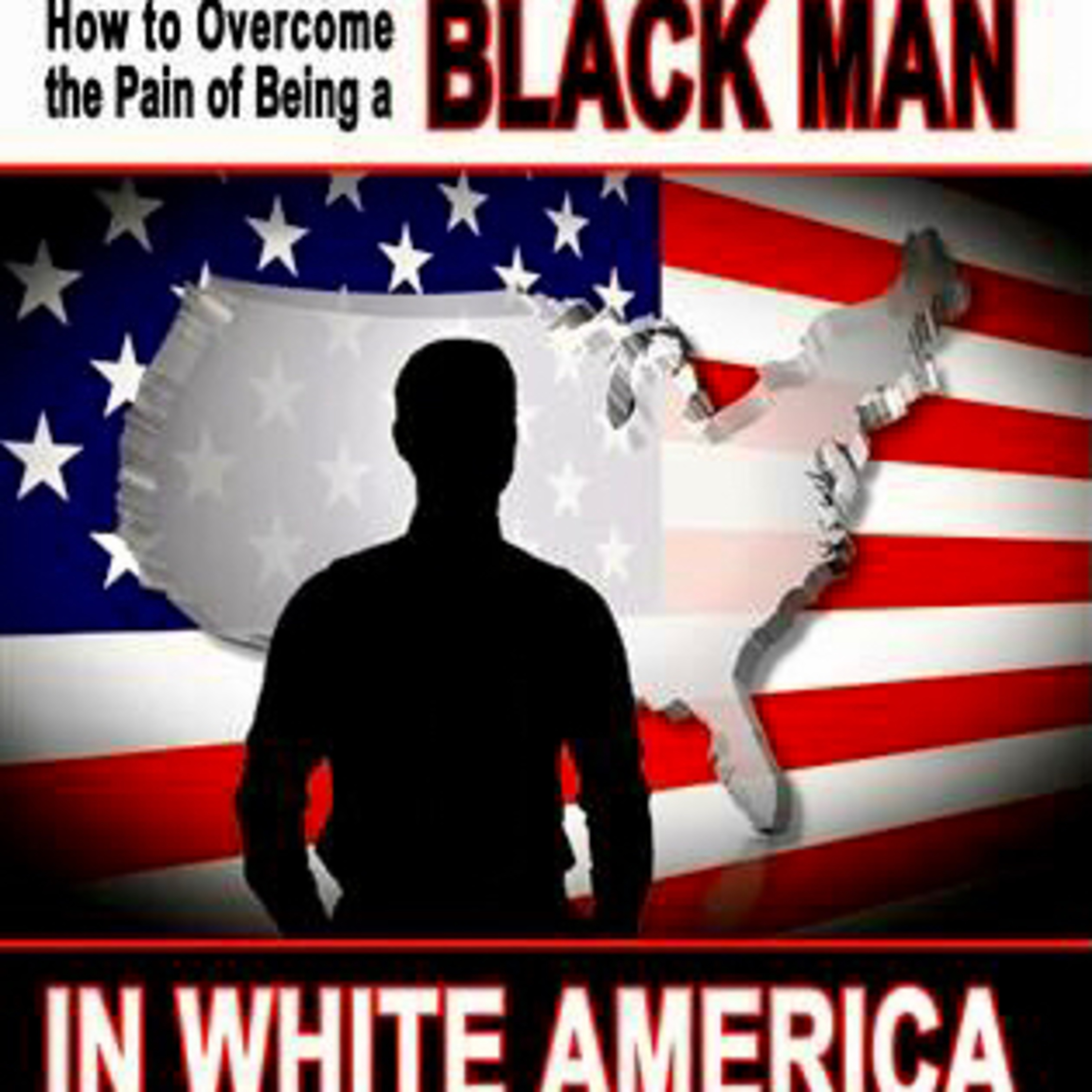 Part 46 - The Time And What Must Be Done (Min. Farrakhan)