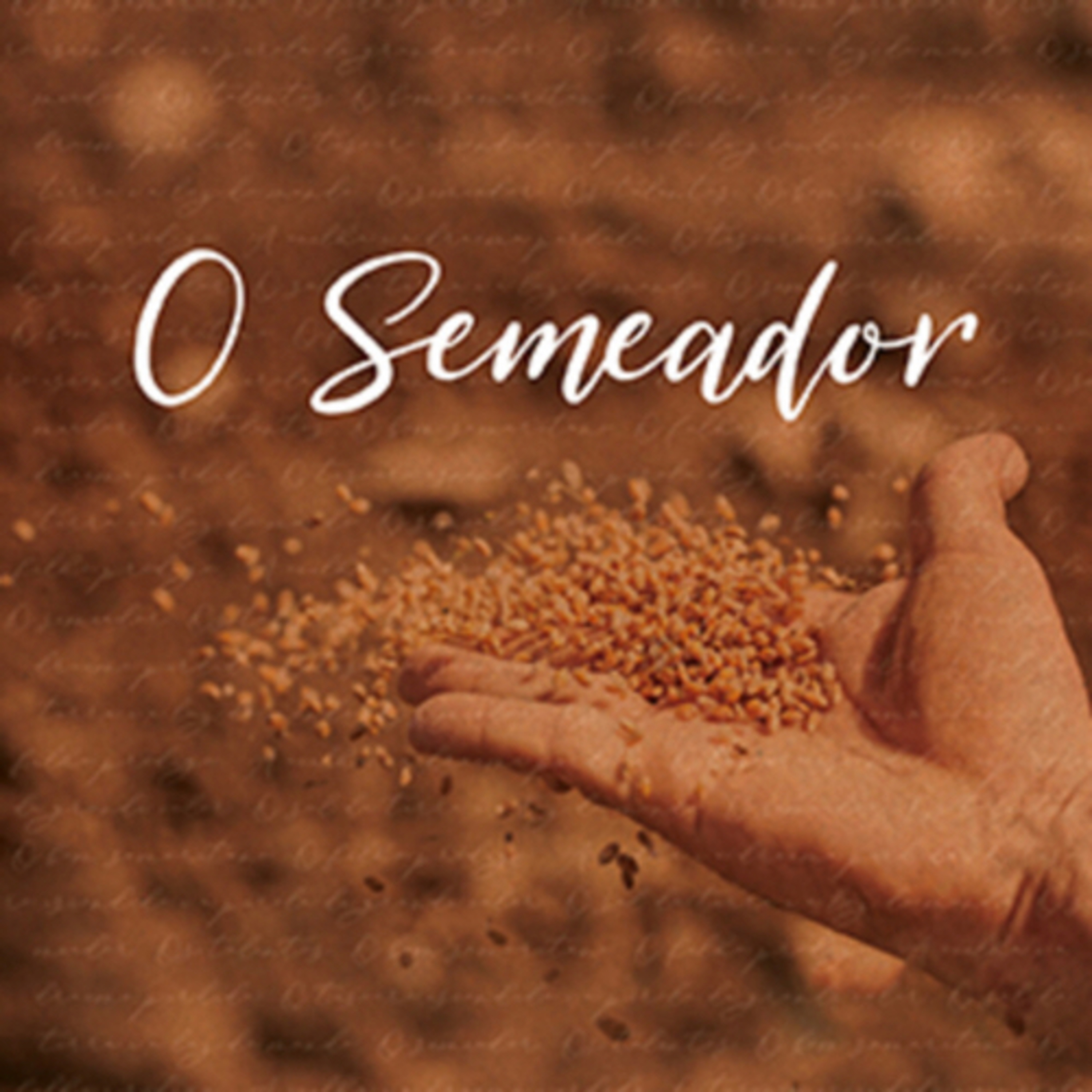 QUE TIPO DE SOLO VOCÊ É? episode artwork