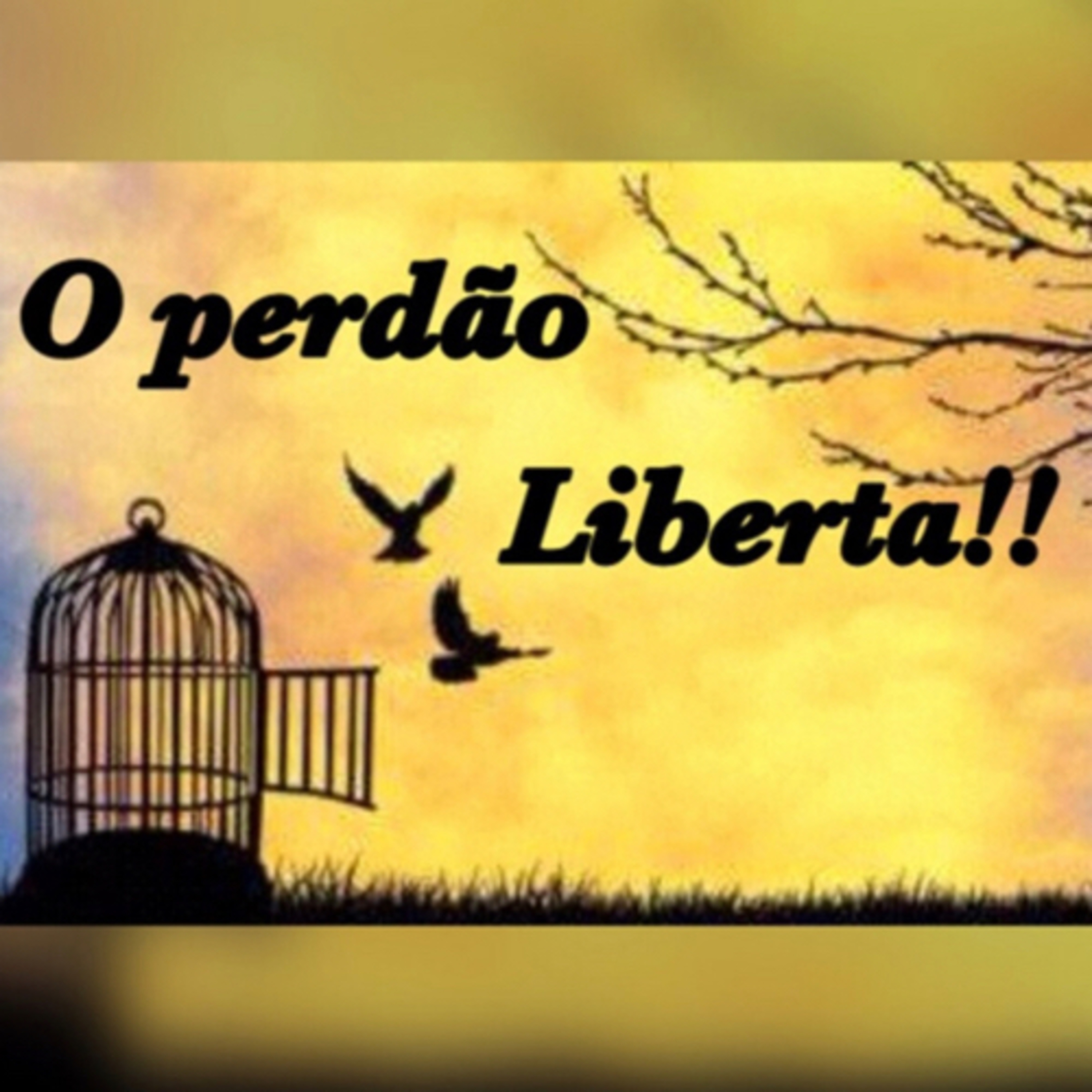 O PODER DO PERDÃO  episode artwork