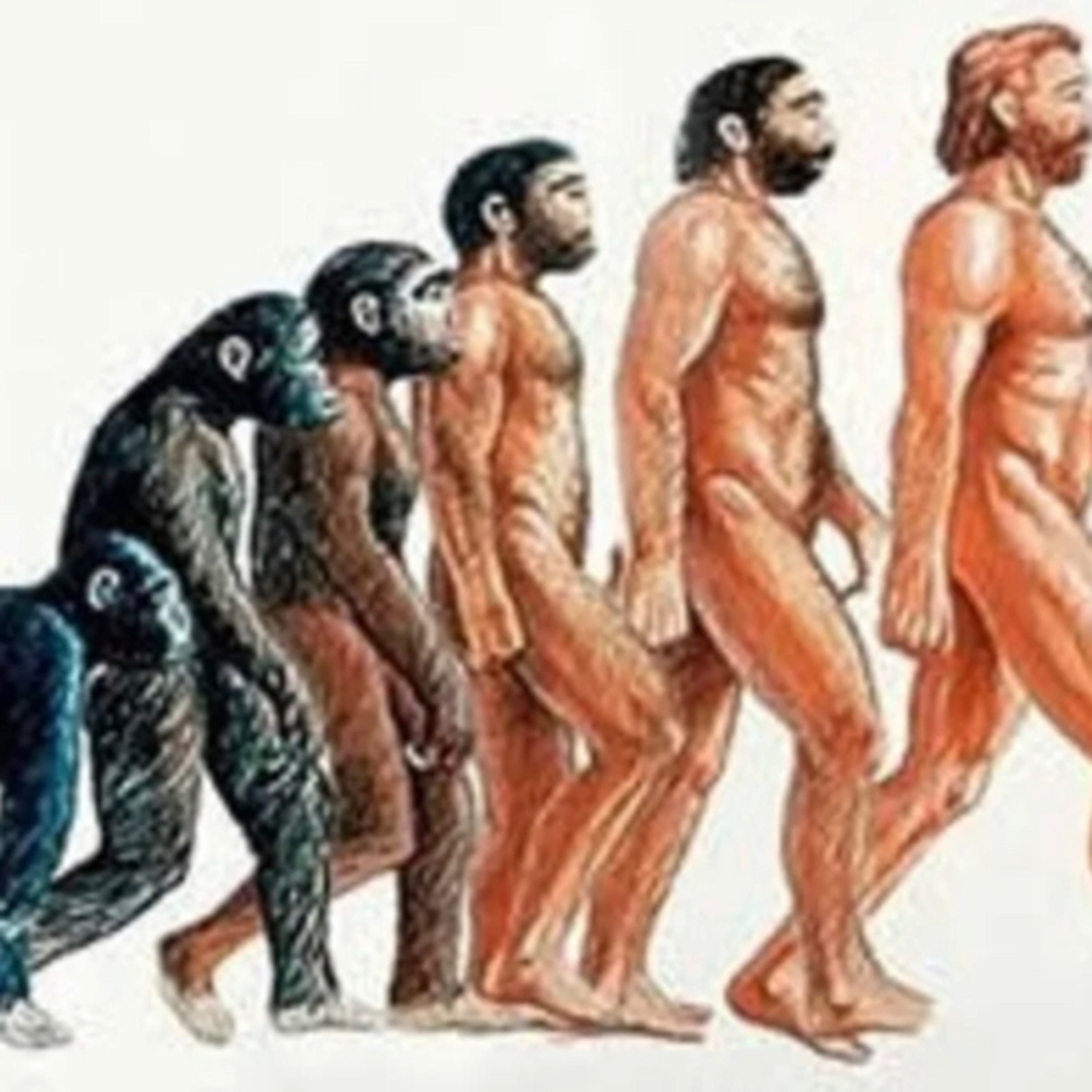 INSENSATEZ DO EVOLUCIONISMO  episode artwork