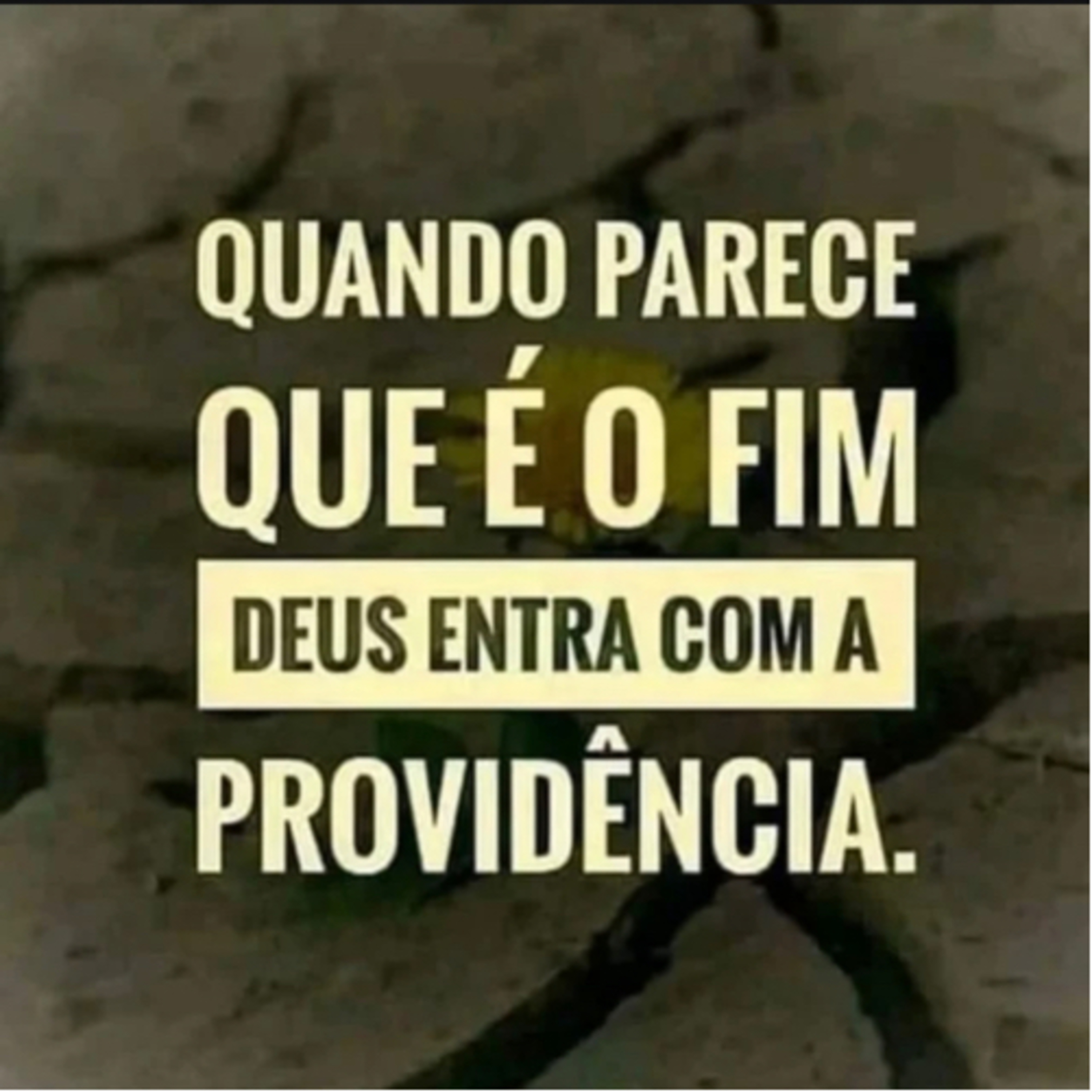 COINCIDÊNCIA OU PROVIDÊNCIA? episode artwork