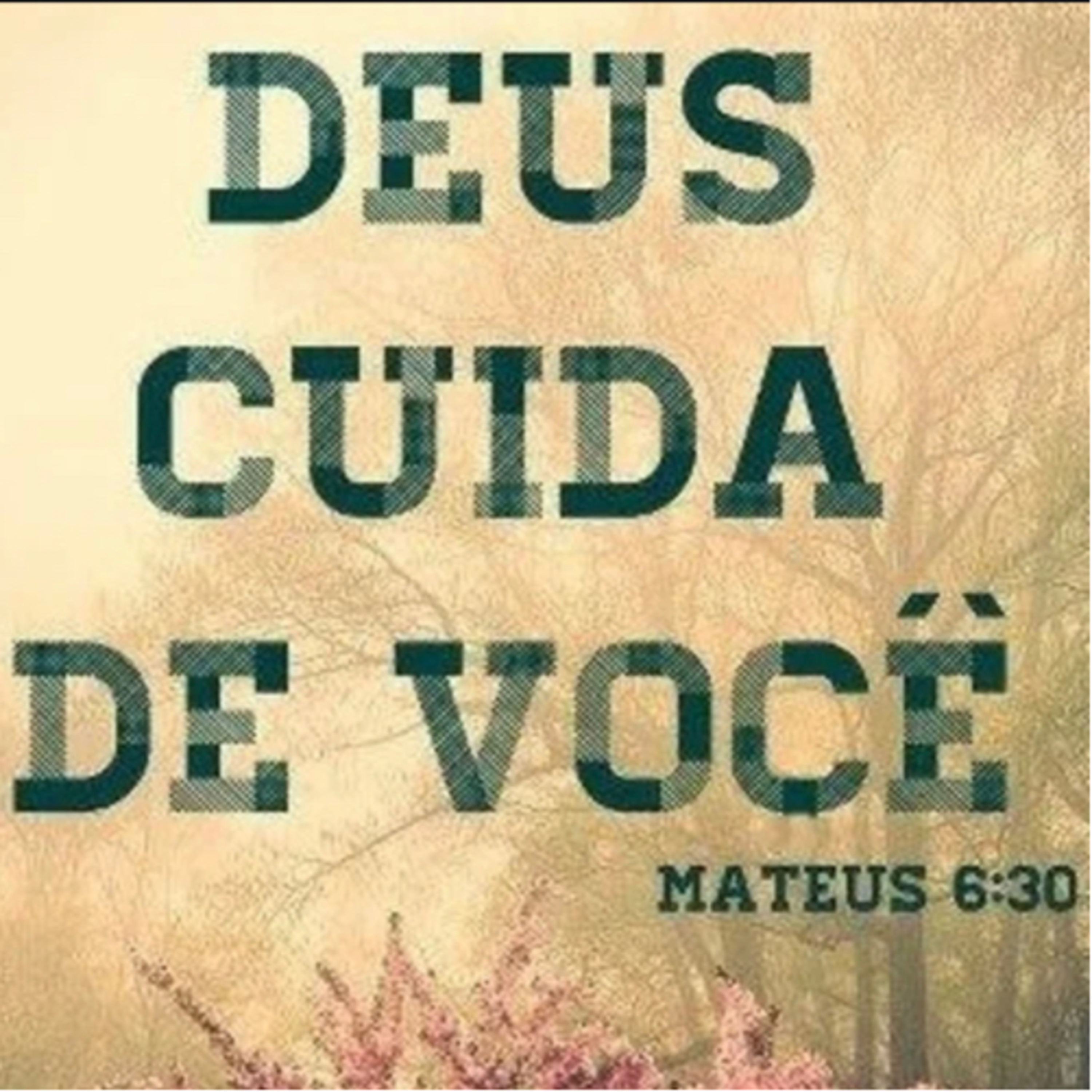 A PROVIDÊNCIA DE DEUS  episode artwork