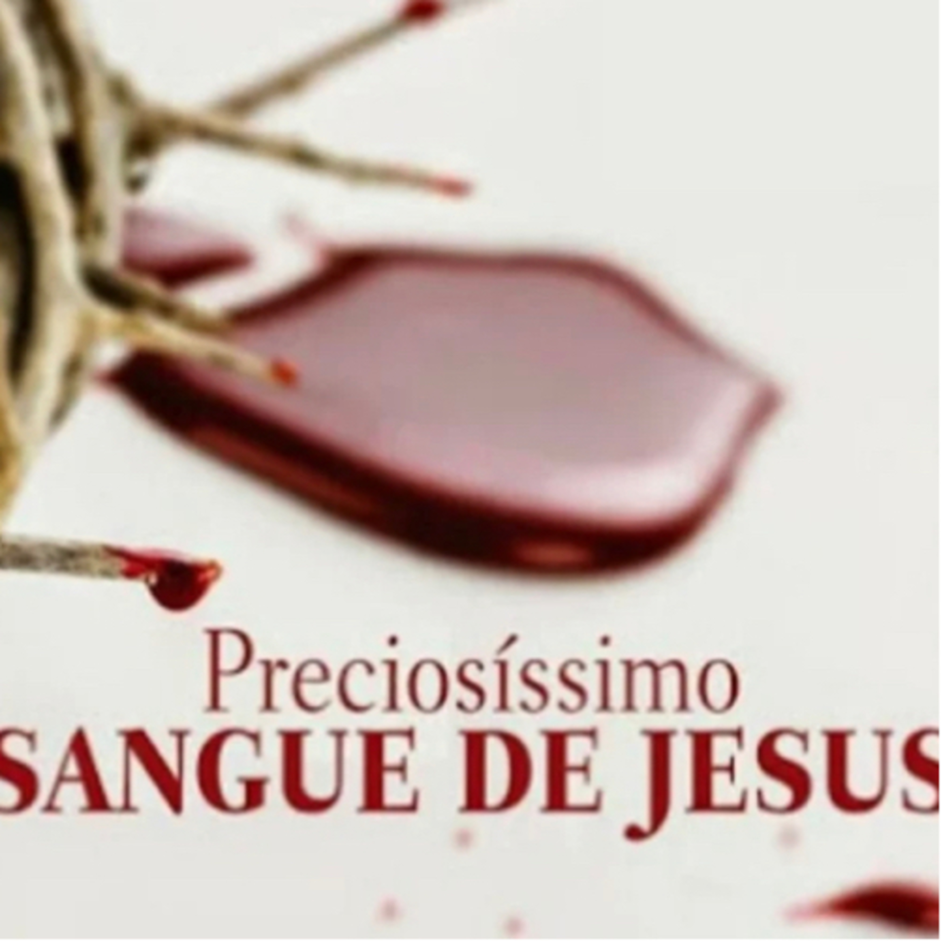 PRECIOSO SANGUE DE JESUS episode artwork