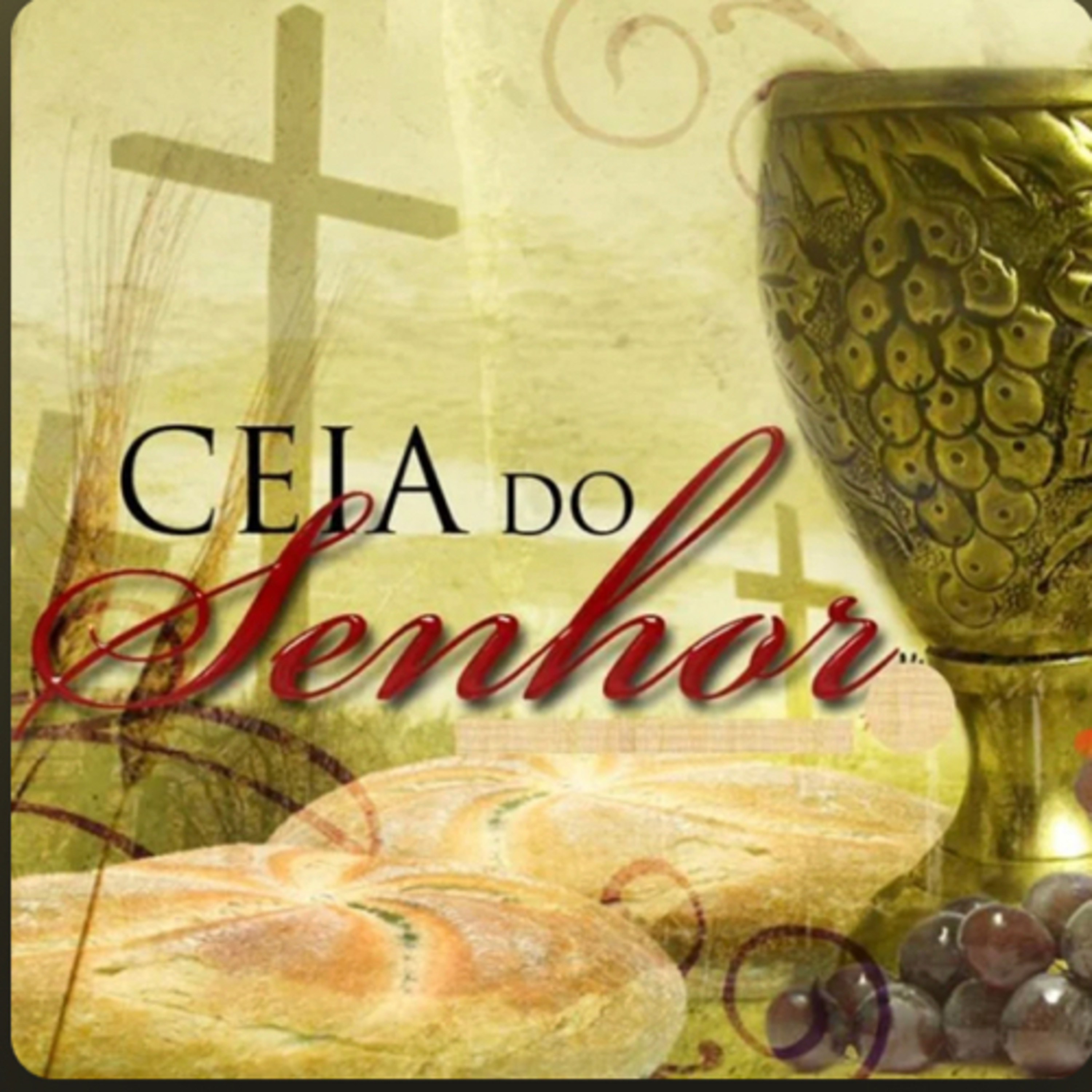 O SIGNIFICADO DA CEIA DO SENHOR  episode artwork