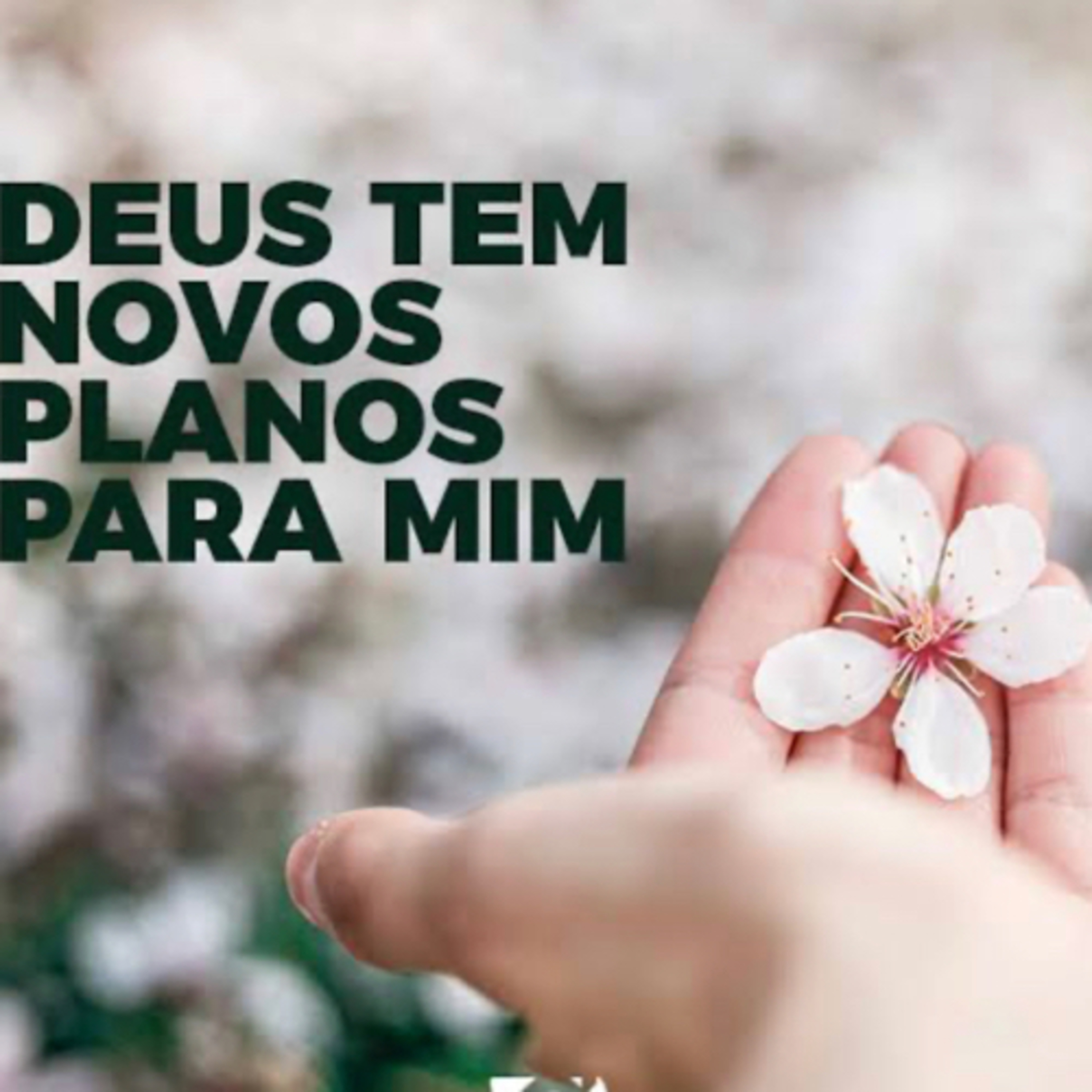 VOCÊ CONFIA NOS PLANOS DO SENHOR? episode artwork