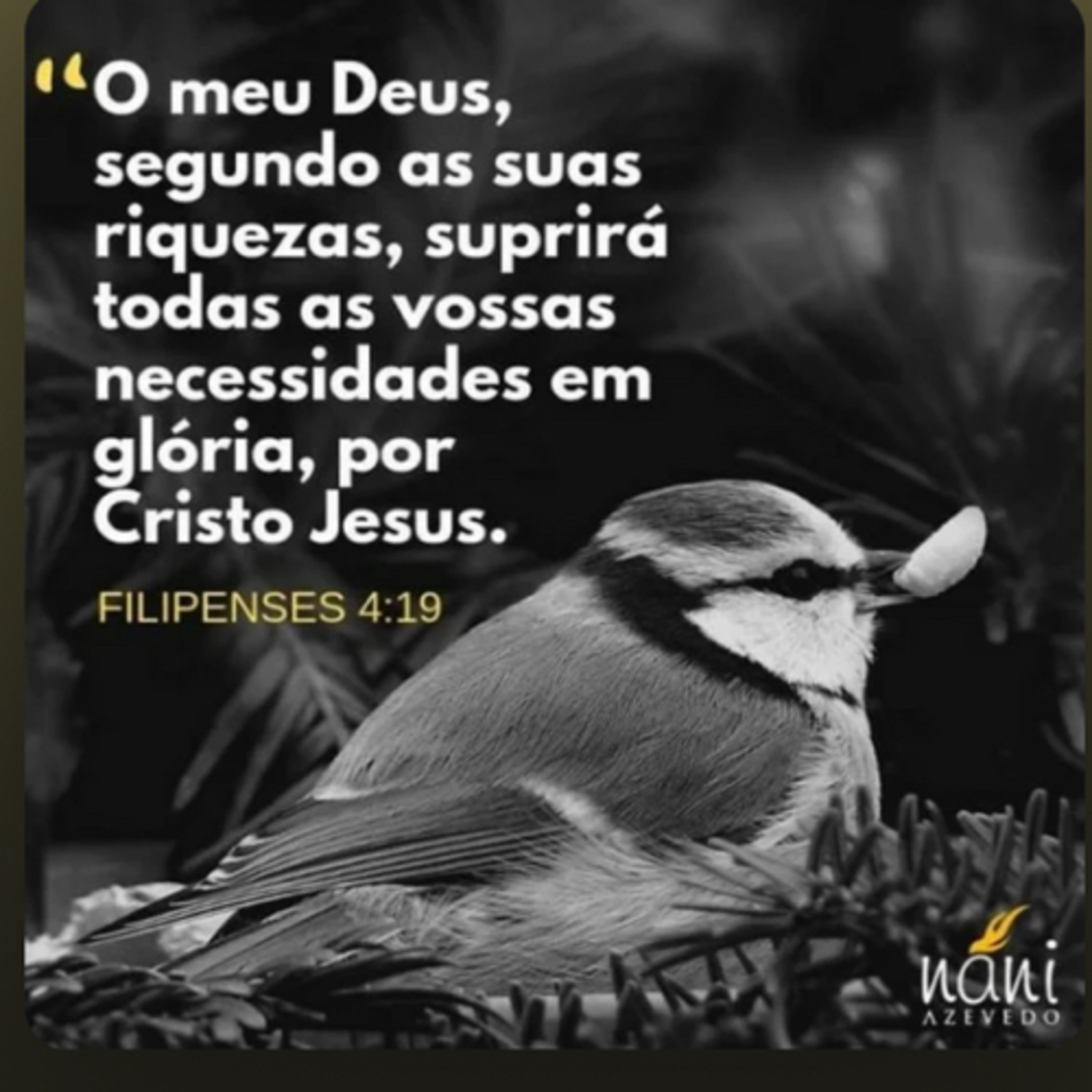 DEUS SUPRE NOSSAS NECESSIDADES  episode artwork