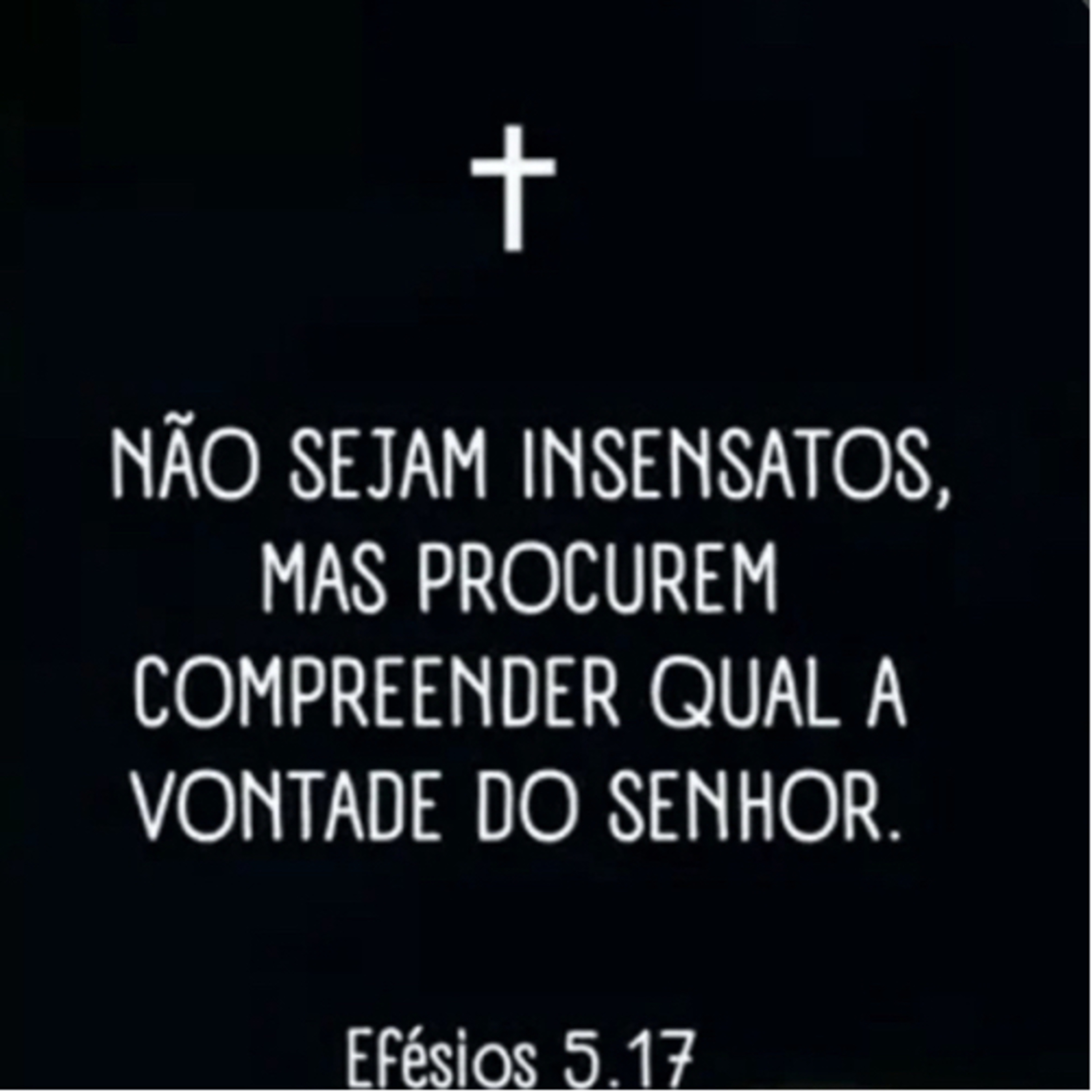 NÃO VOS TORNEIS INSENSATOS episode artwork