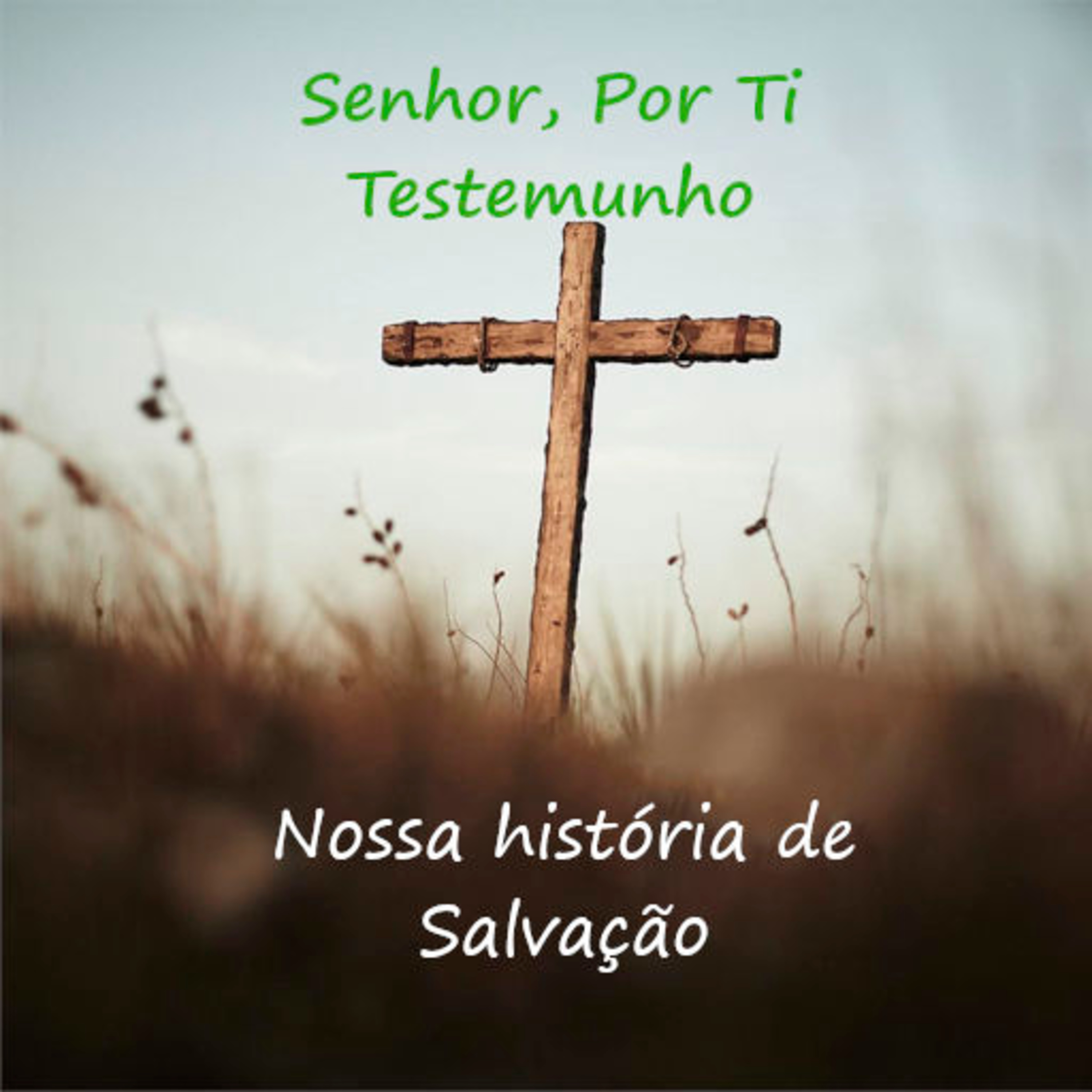 Por Ti Testemunho