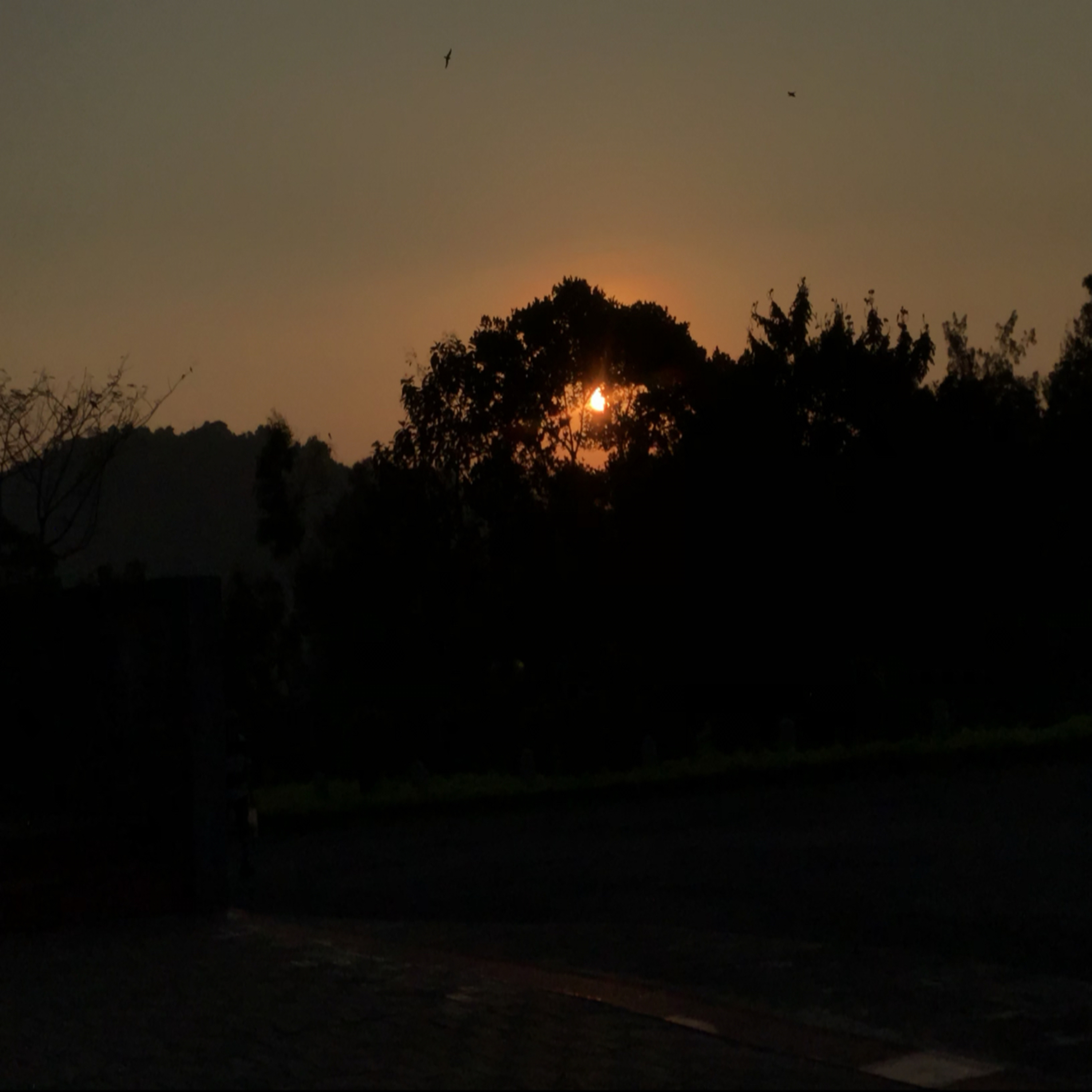 Deep relaxation technique...