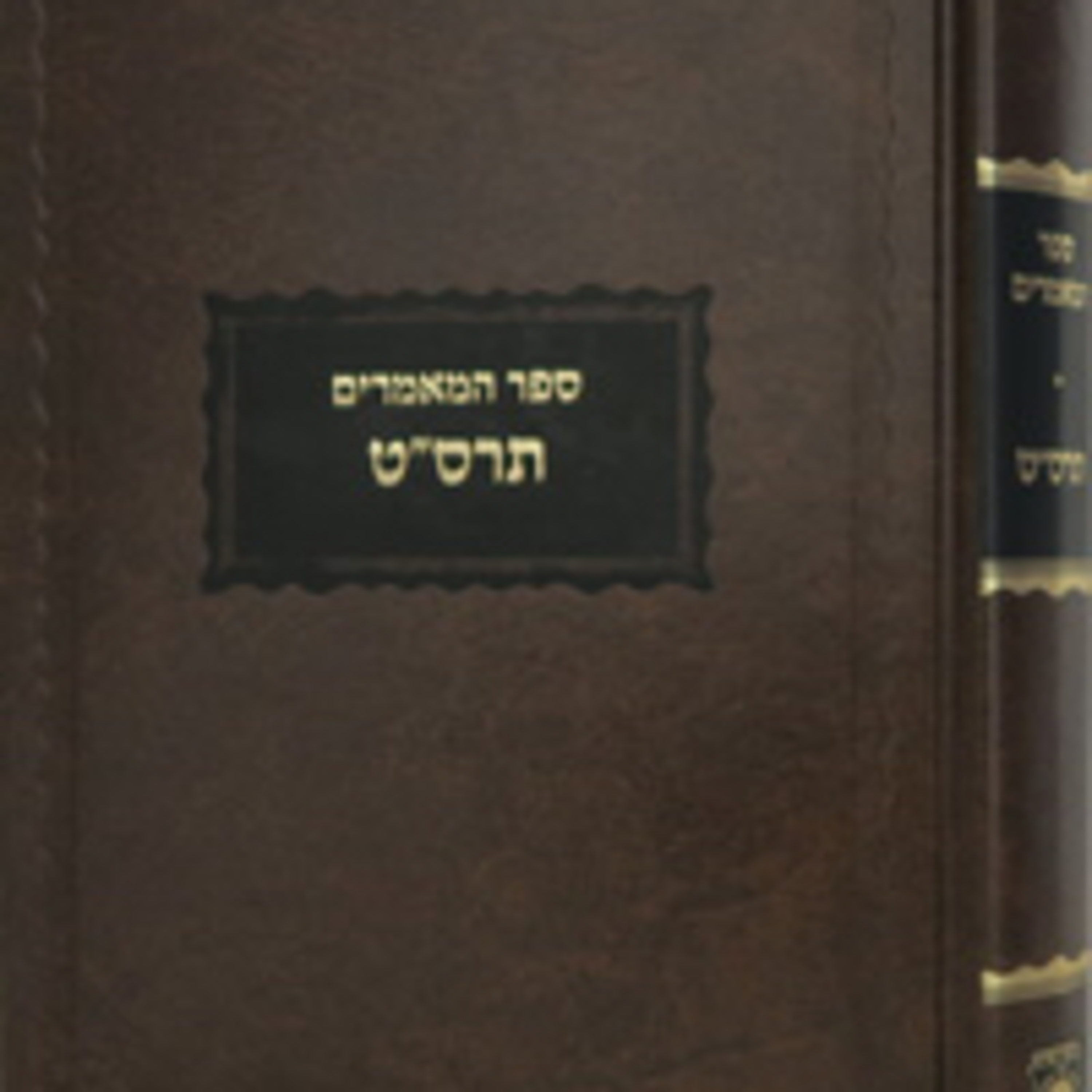 5669 Ep. 9 - תרס״ט ע׳ ט episode artwork