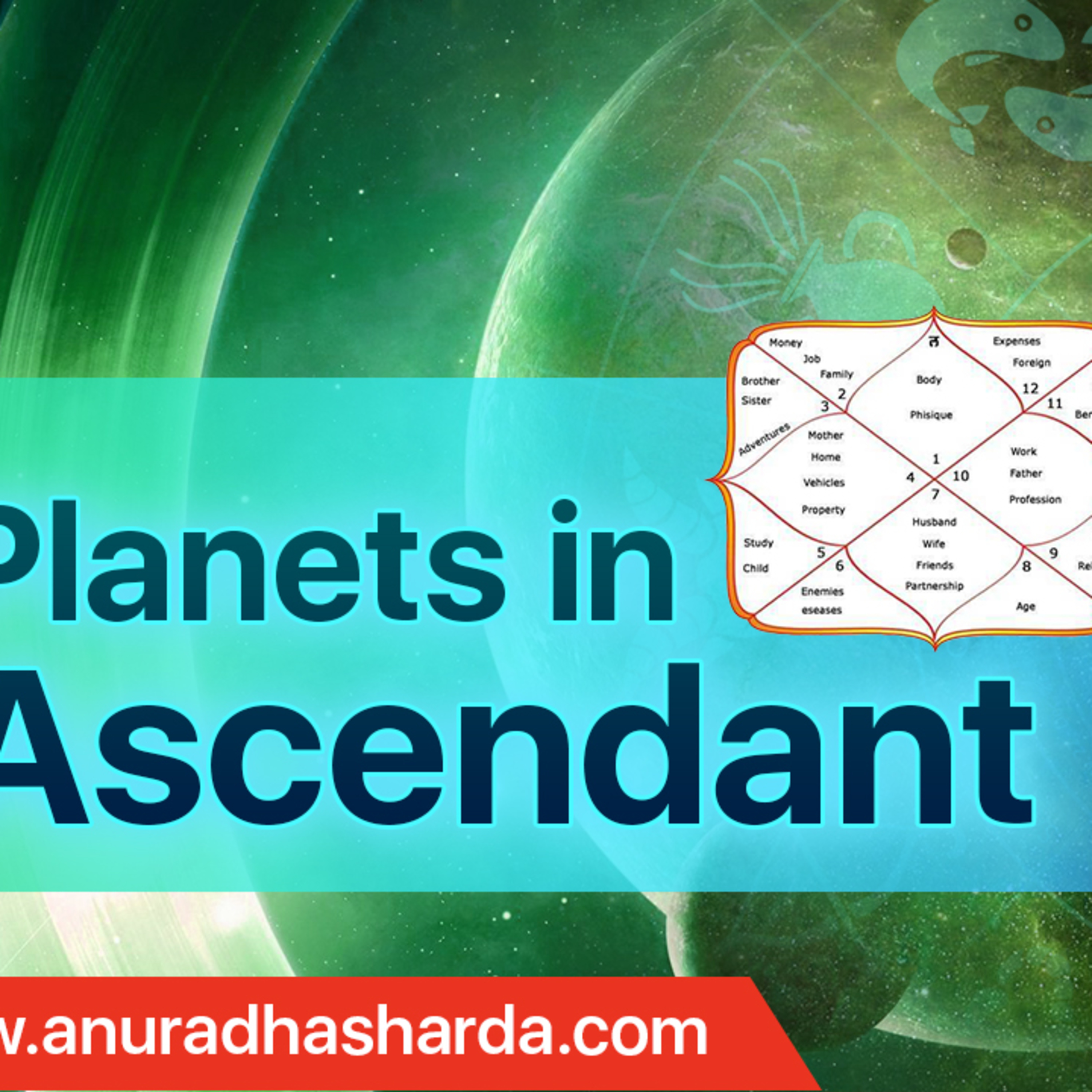 Anuradha | Vedic Astrologer & Tarot Coach