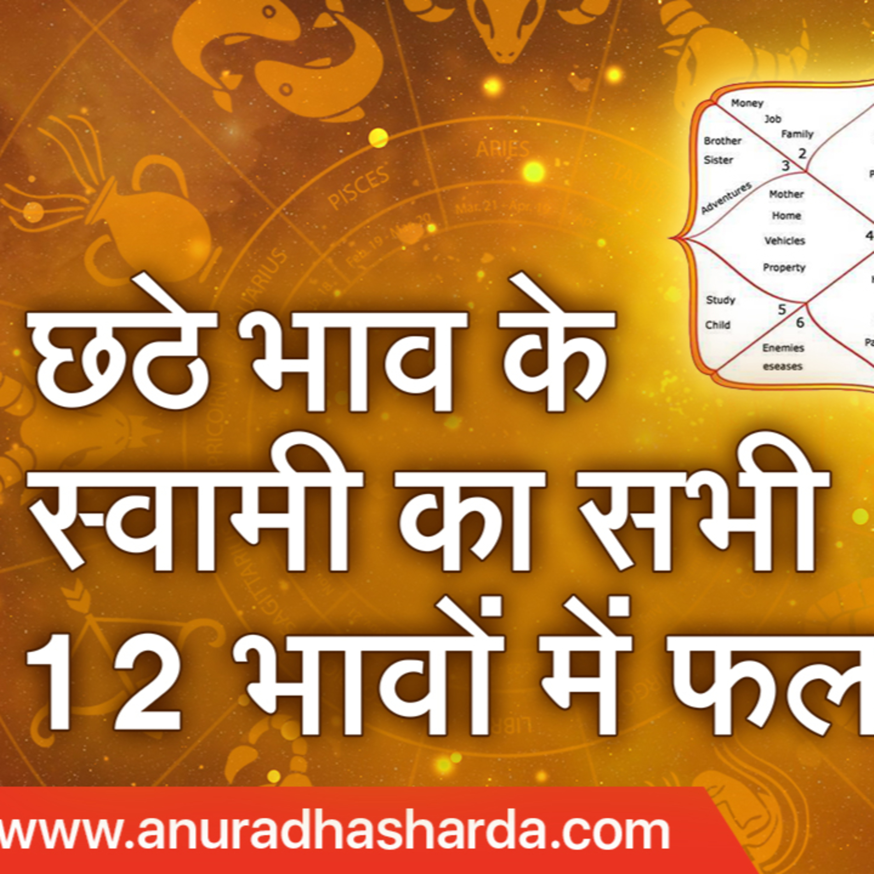 Anuradha | Vedic Astrologer & Tarot Coach