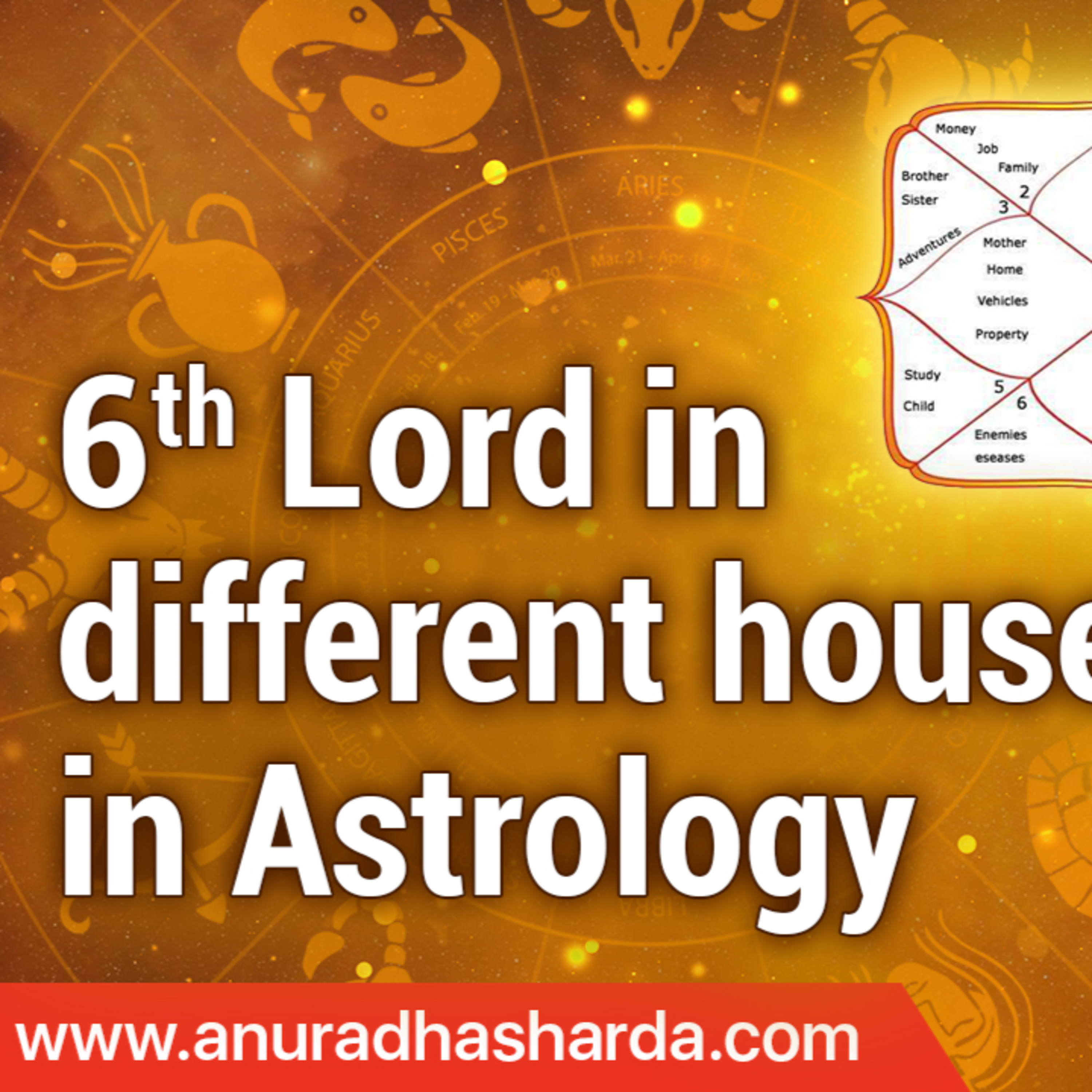 Anuradha | Vedic Astrologer & Tarot Coach