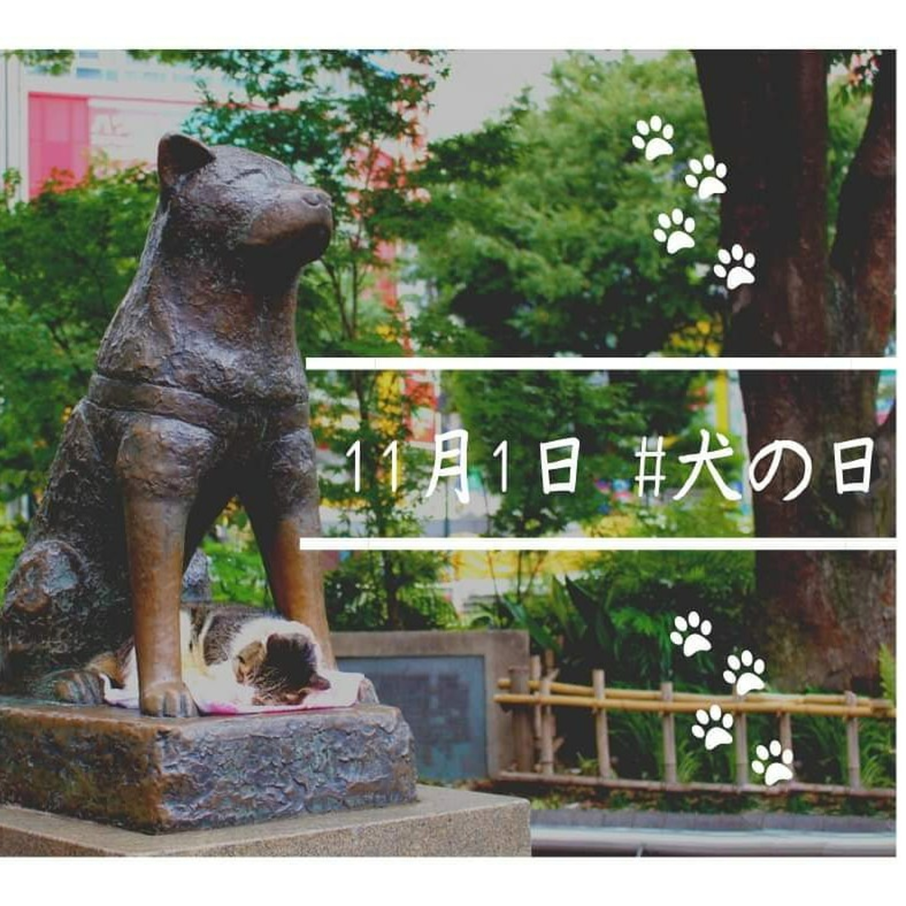 犬の日（11/1）🐕‍🦺