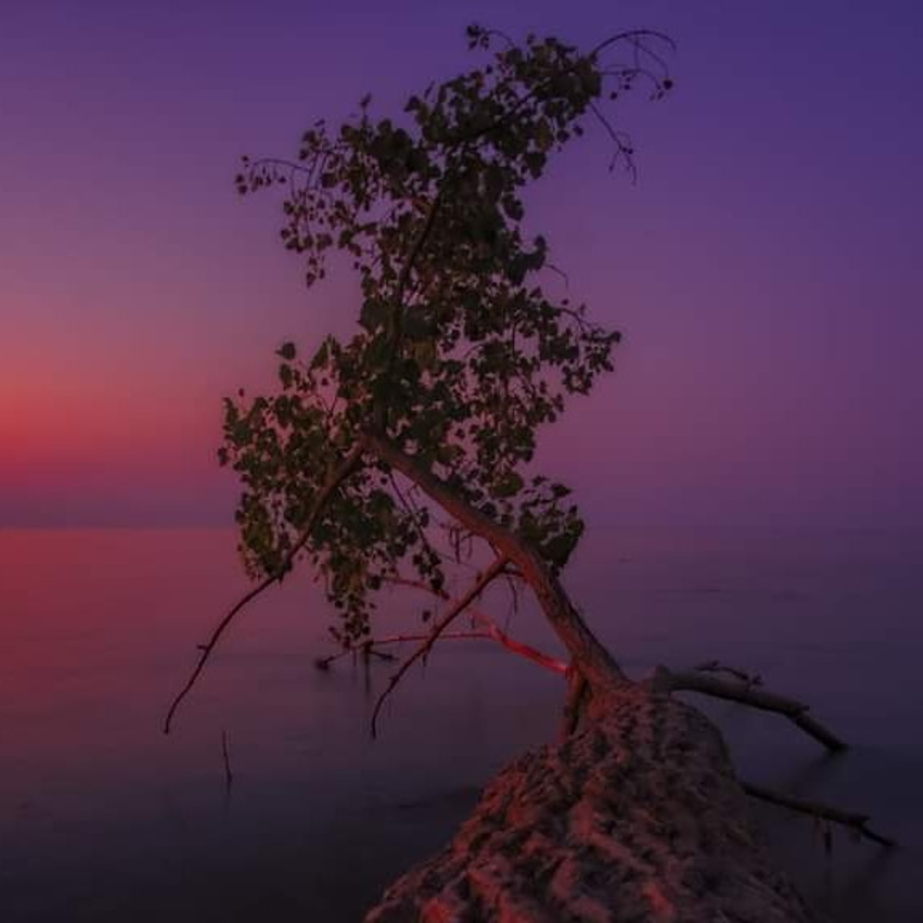 Lake Erosion, Climate change,and Big Business episode artwork