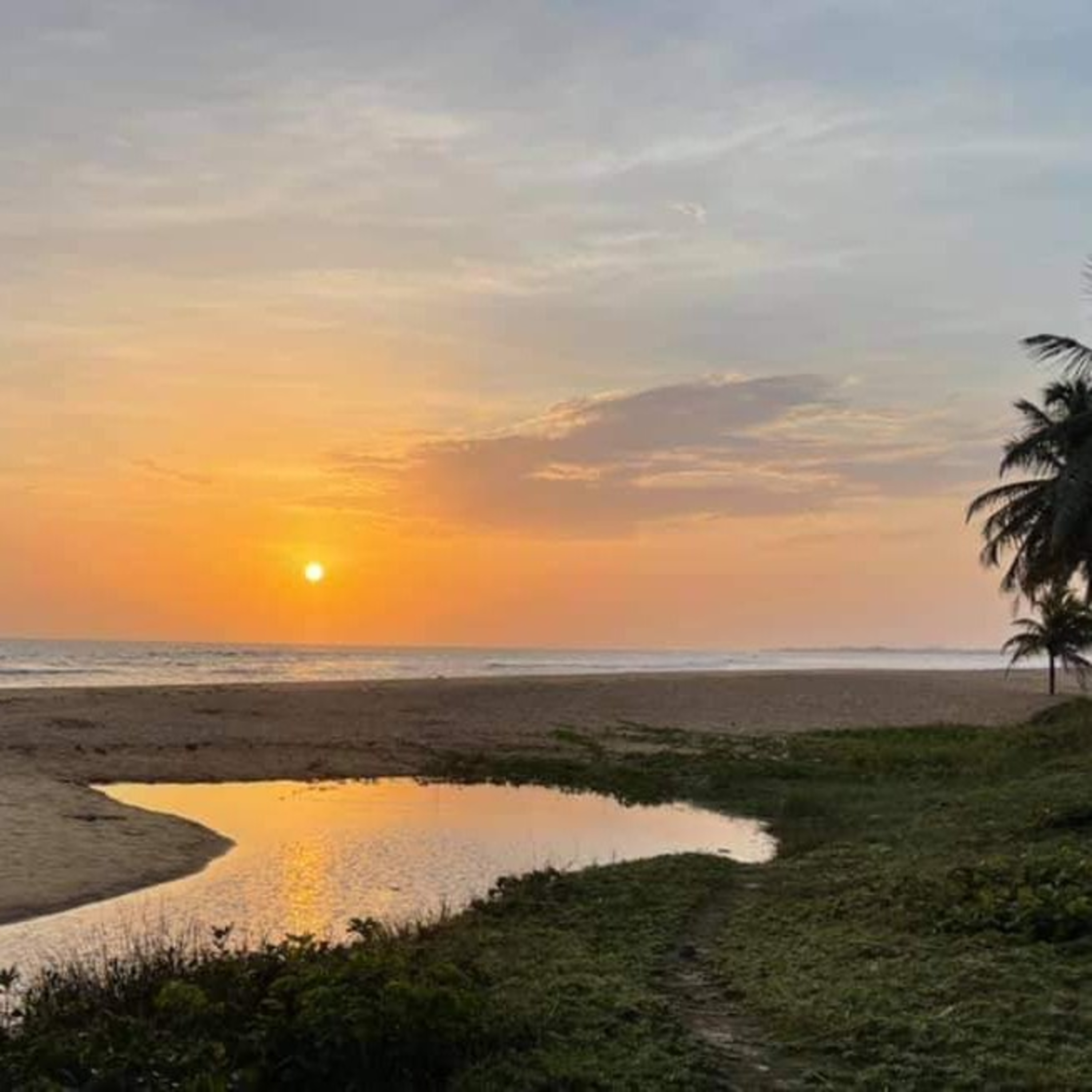 Voices along the Way