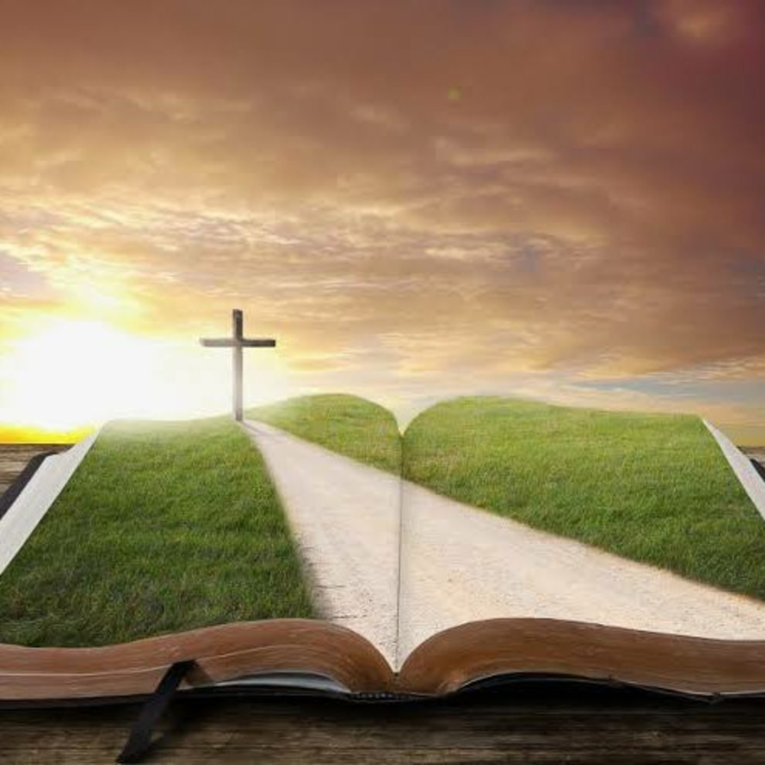Caminho a Cristo