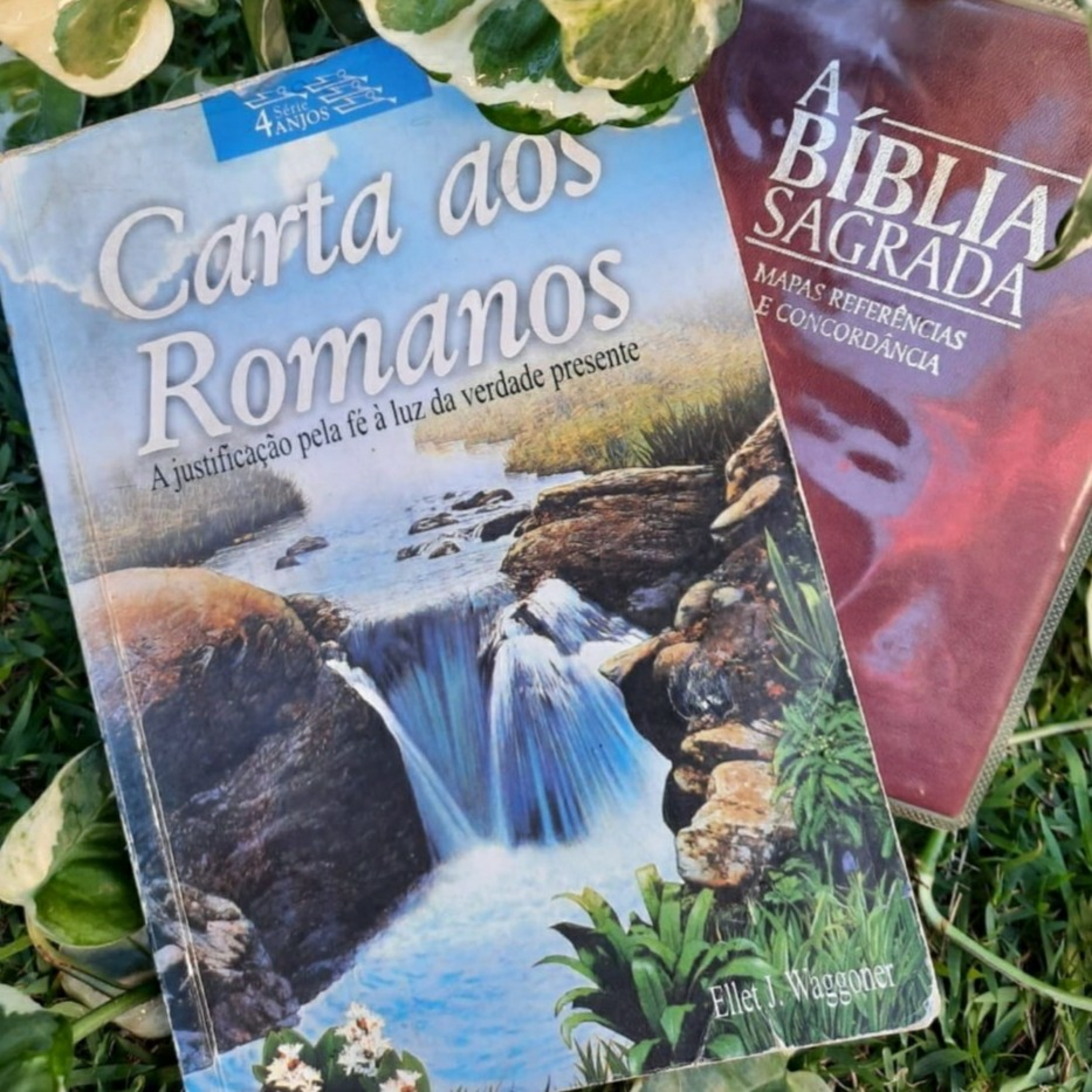 Caminho a Cristo