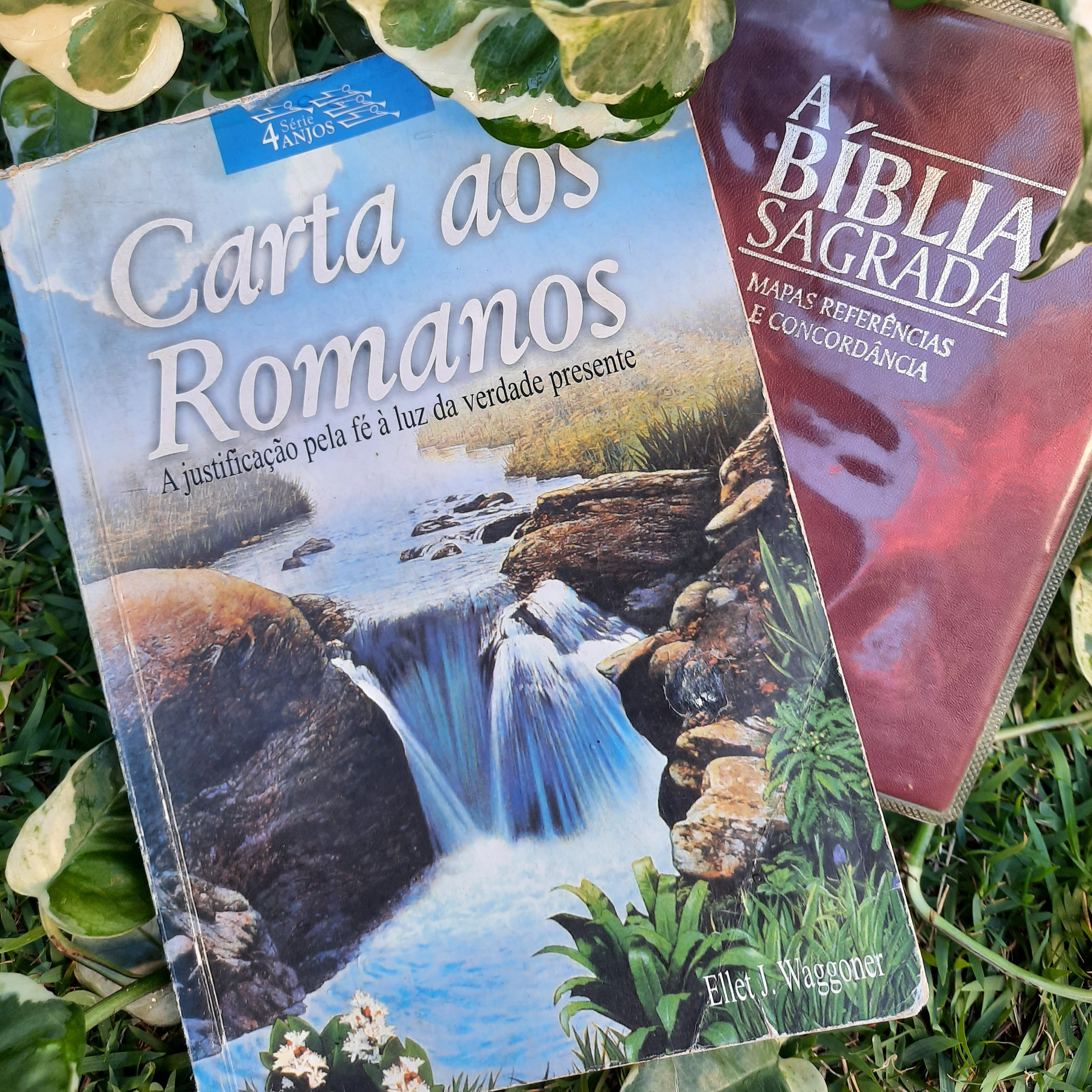 Caminho a Cristo