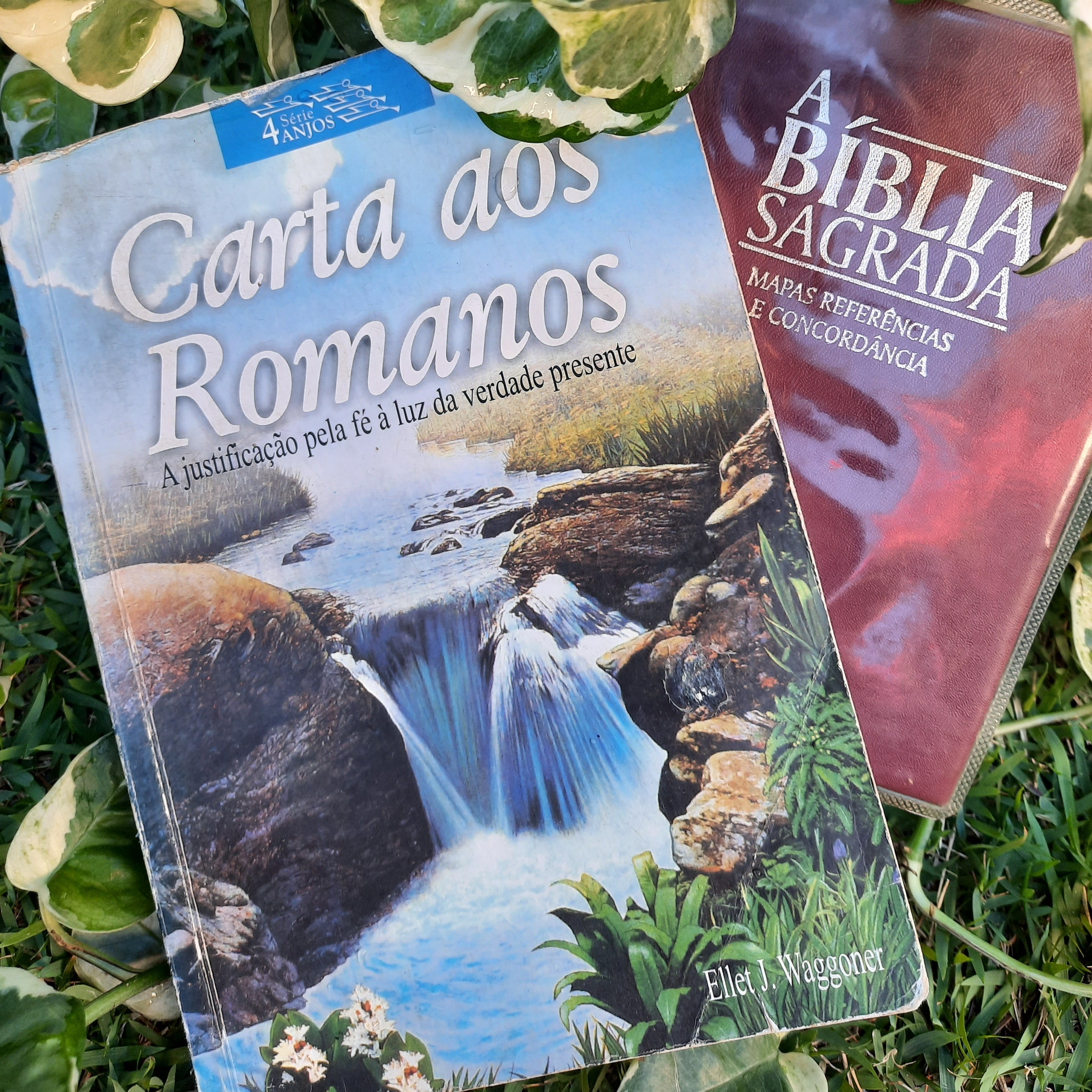 Caminho a Cristo