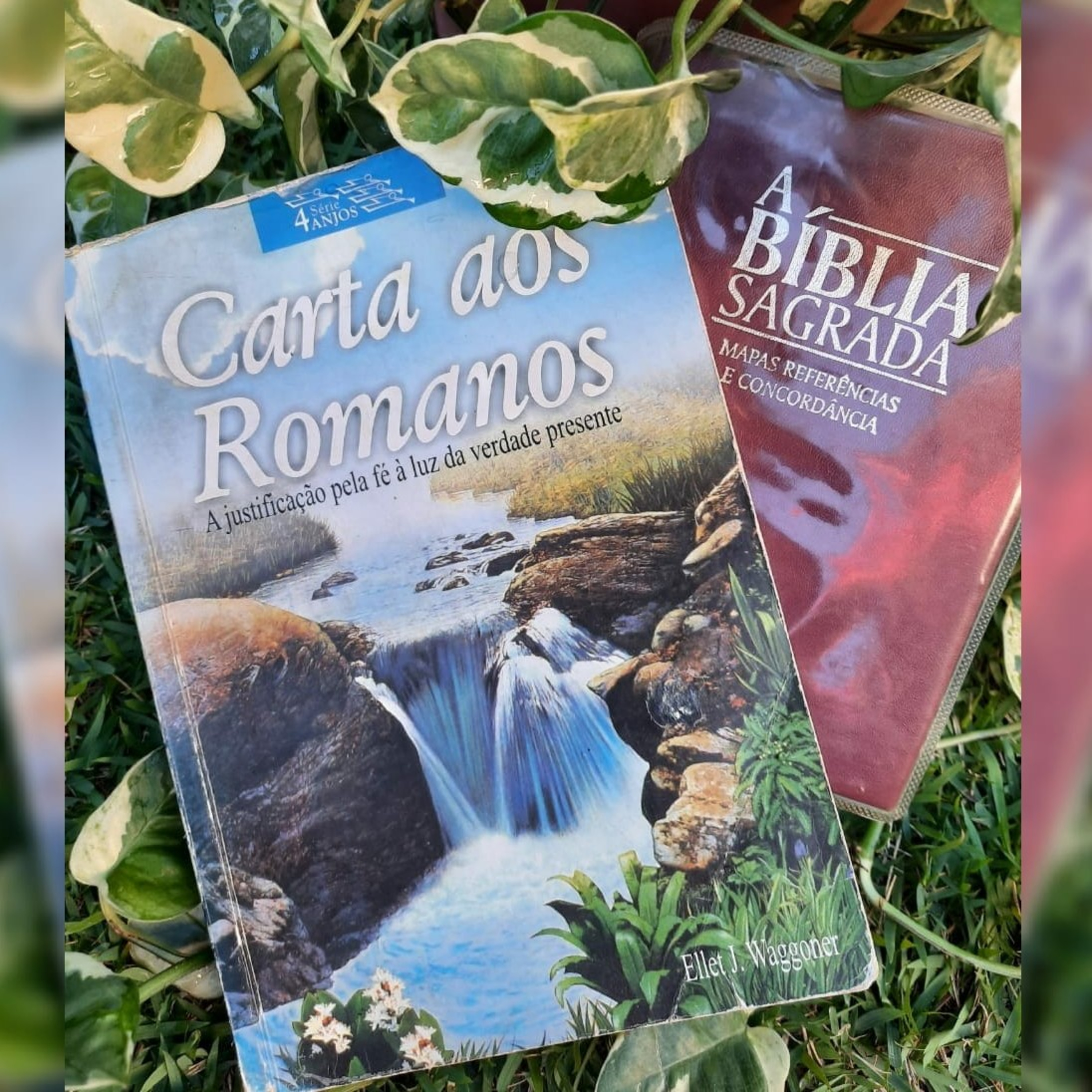 Caminho a Cristo