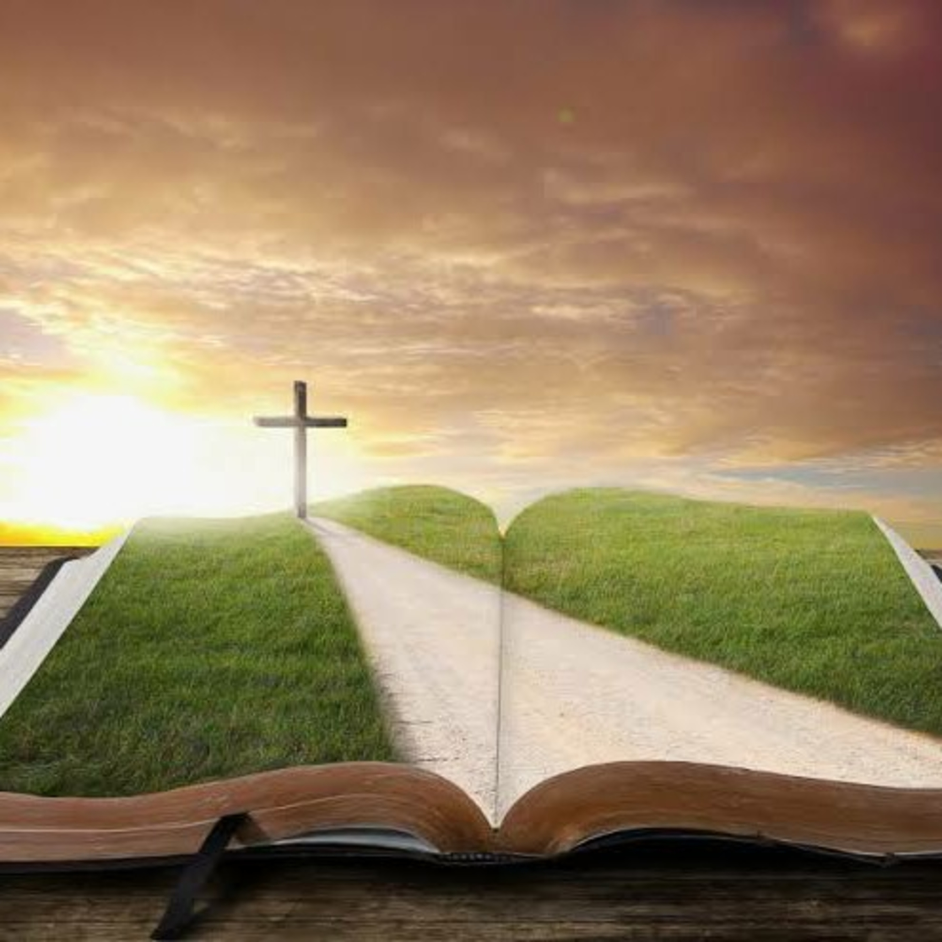 Caminho a Cristo