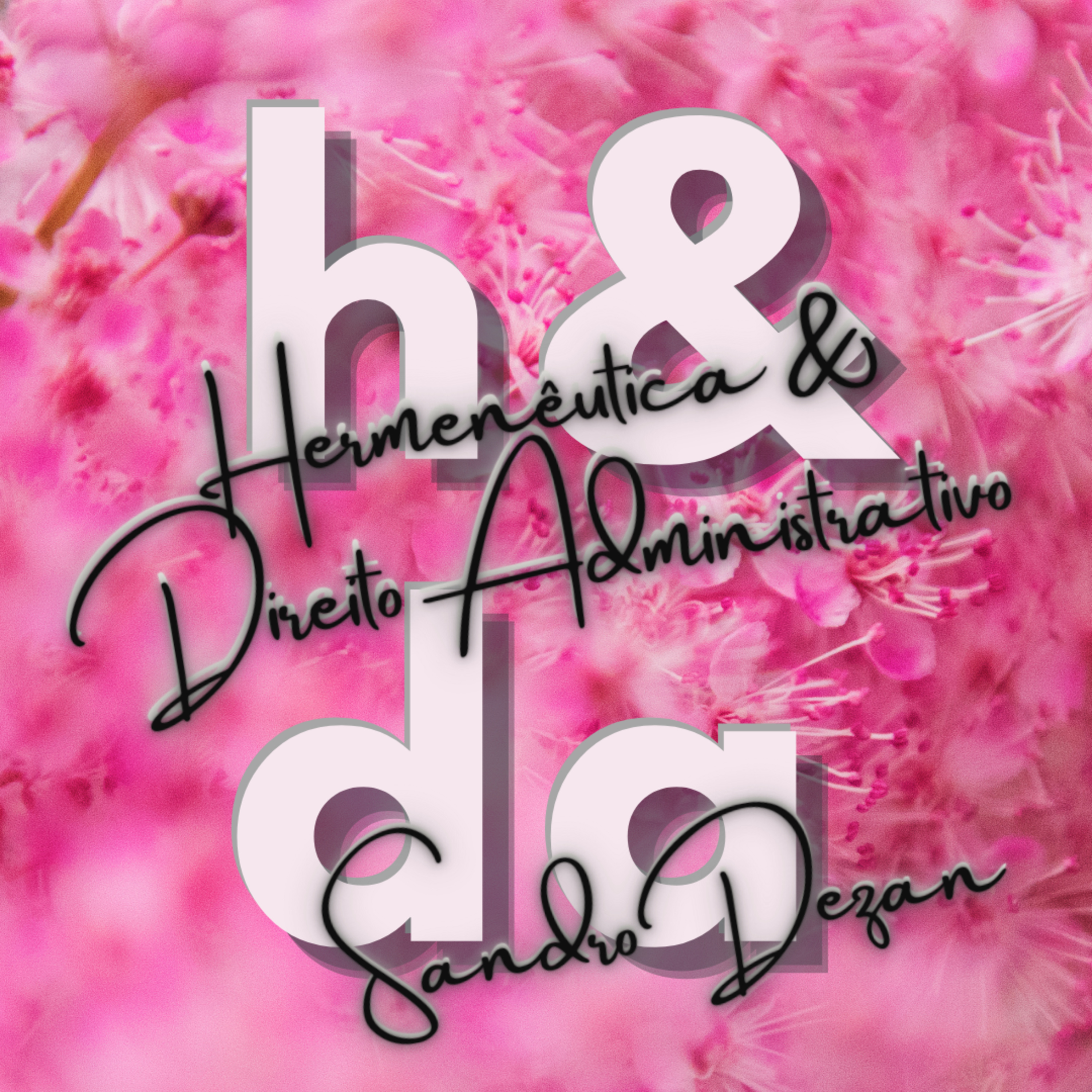 Hermenêutica & Direito Administrativo