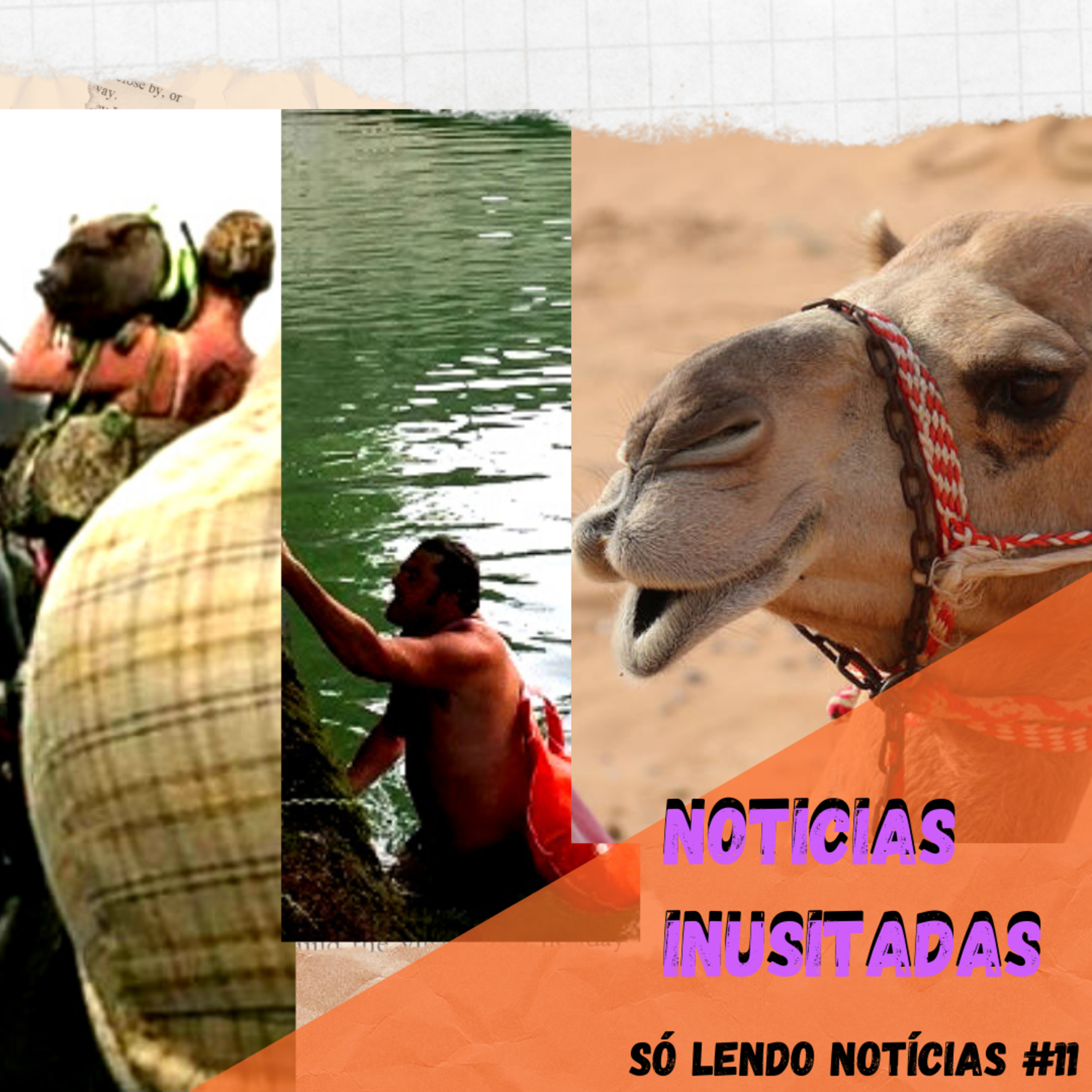 Só Lunáticos