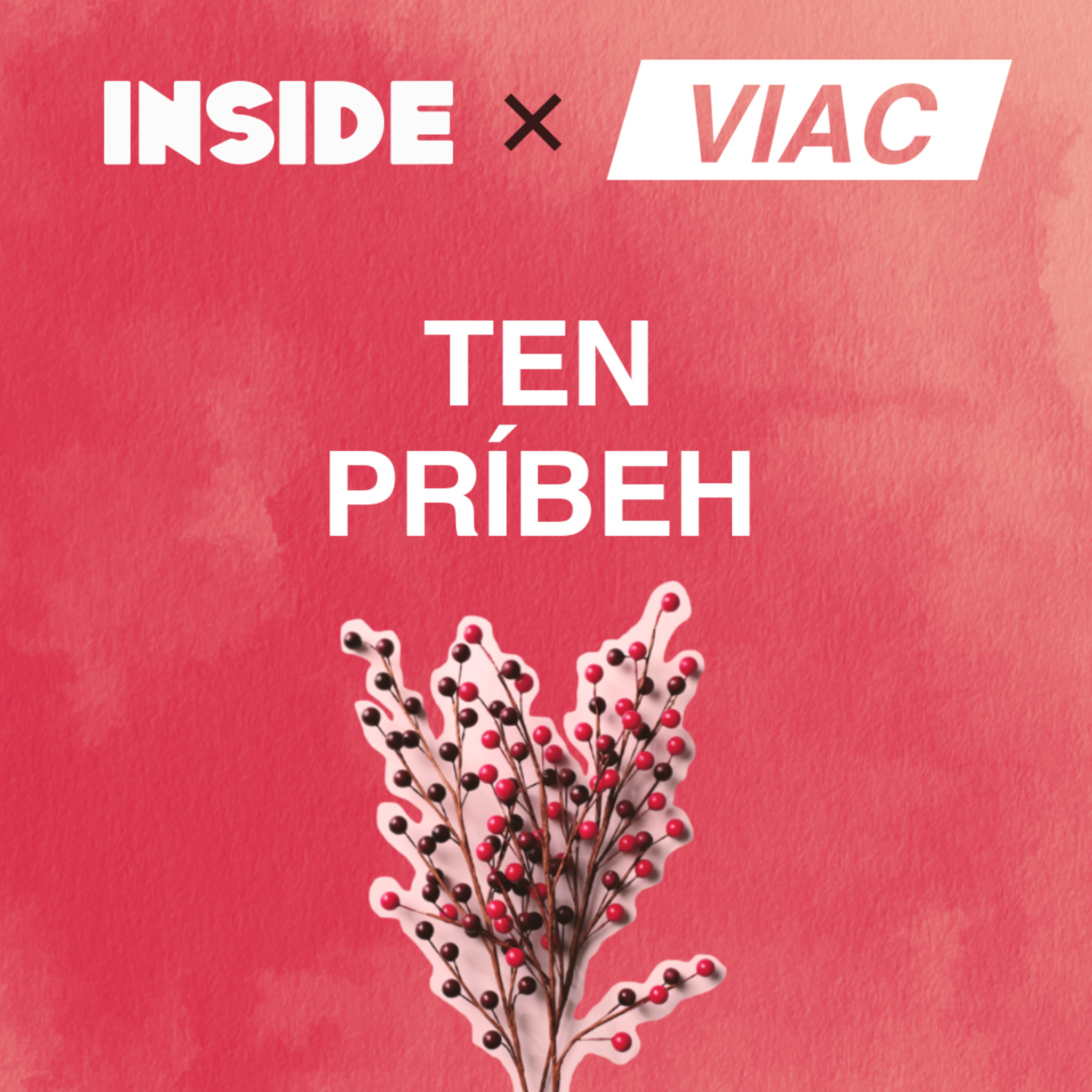 Vianočný špeciál episode artwork