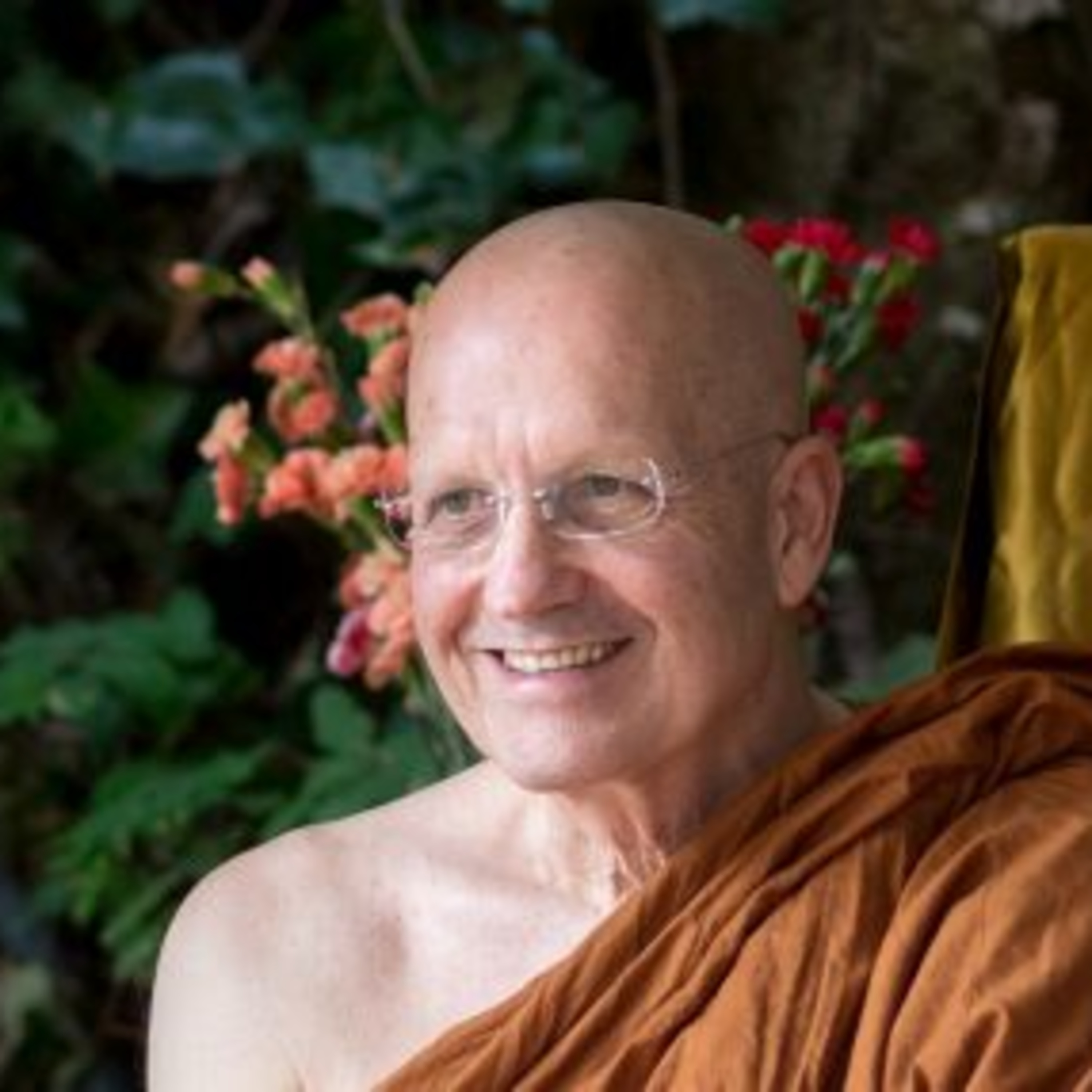 Palestra Ajahn Vajiro: 2011 episode artwork