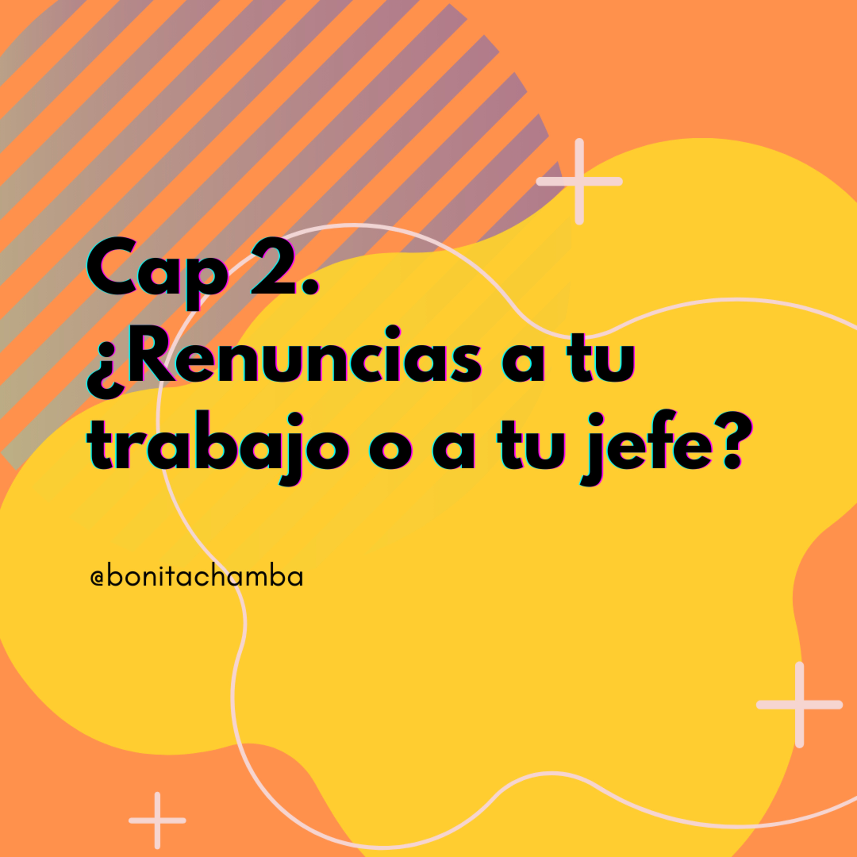 Bonita Chamba