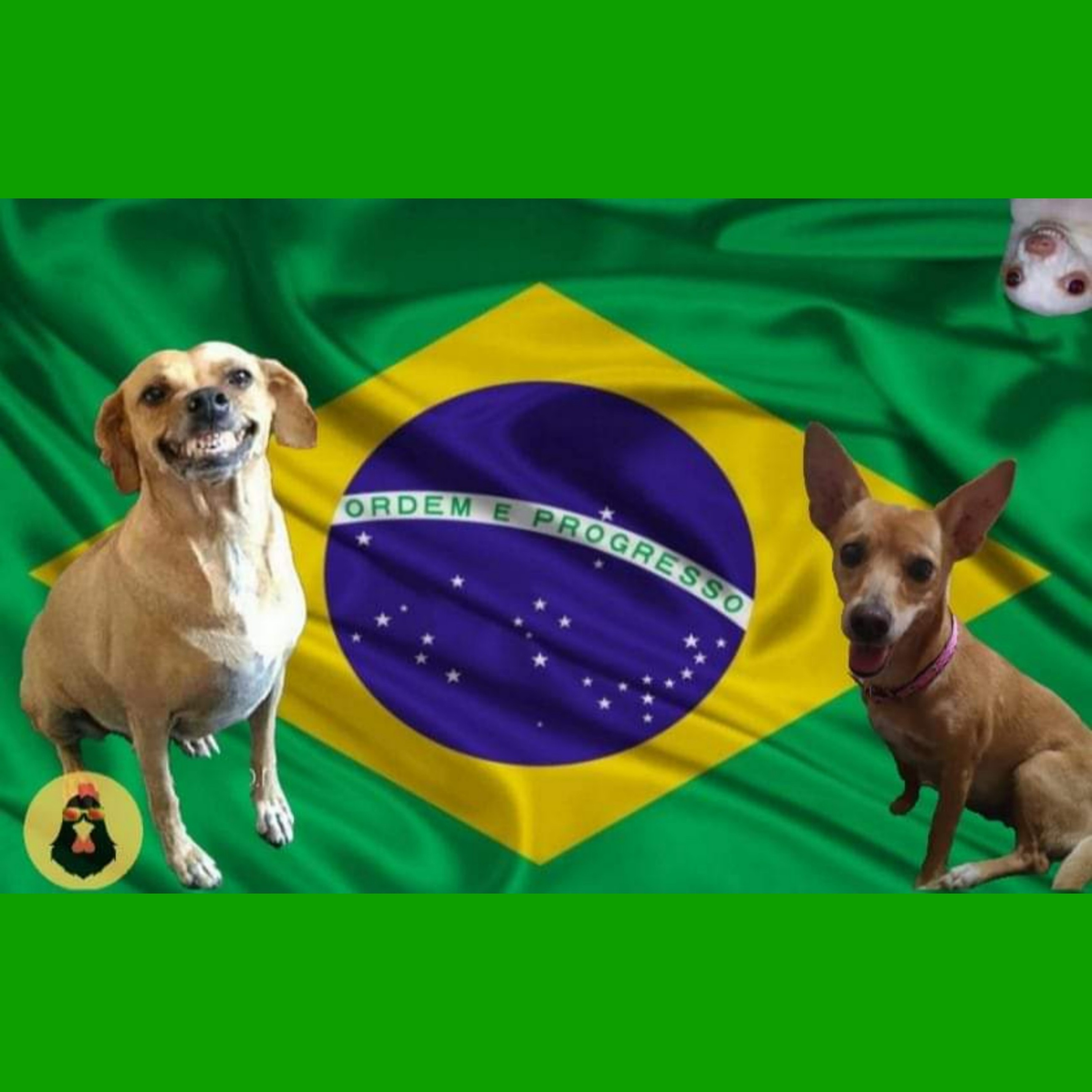 Ep#5 Os vira-latas do brasil