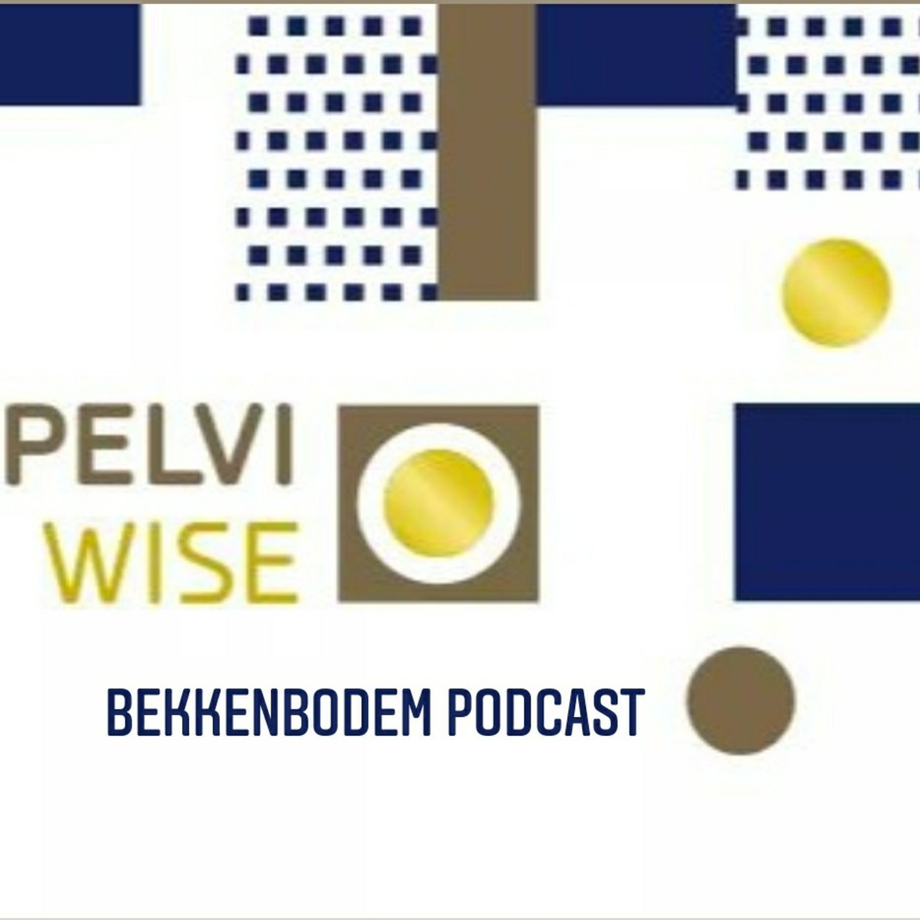 Aflevering 1 Van De Bekkenbodem Podcast: \