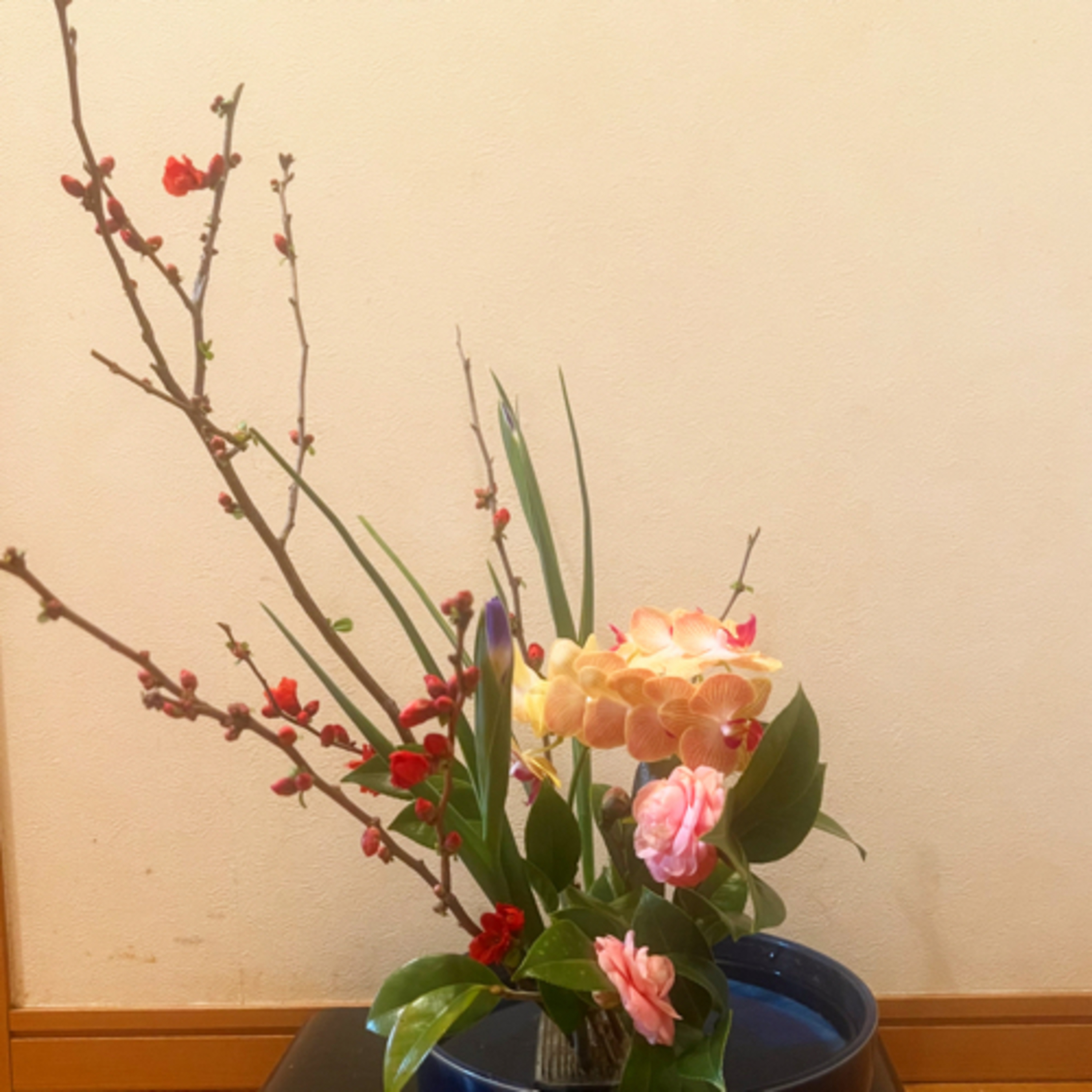 いけばなきょうしつ　L’atelier d’ikebana episode artwork