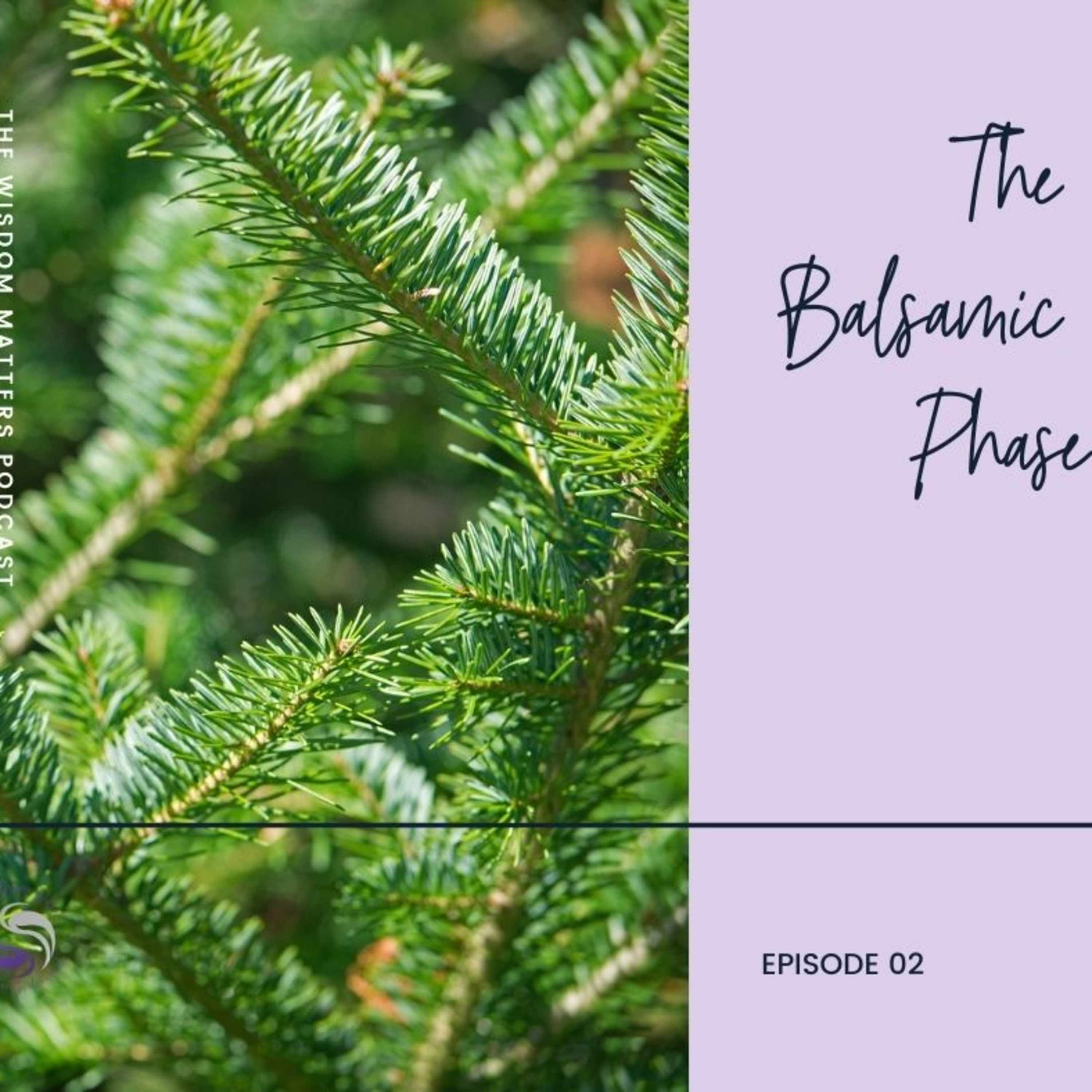 The Wisdom Matters Podcast