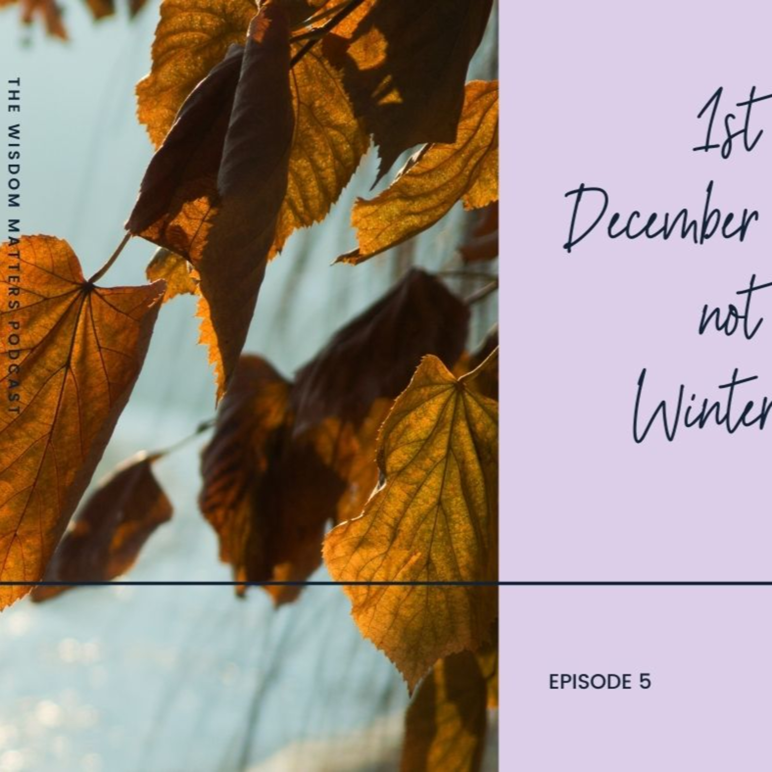 The Wisdom Matters Podcast