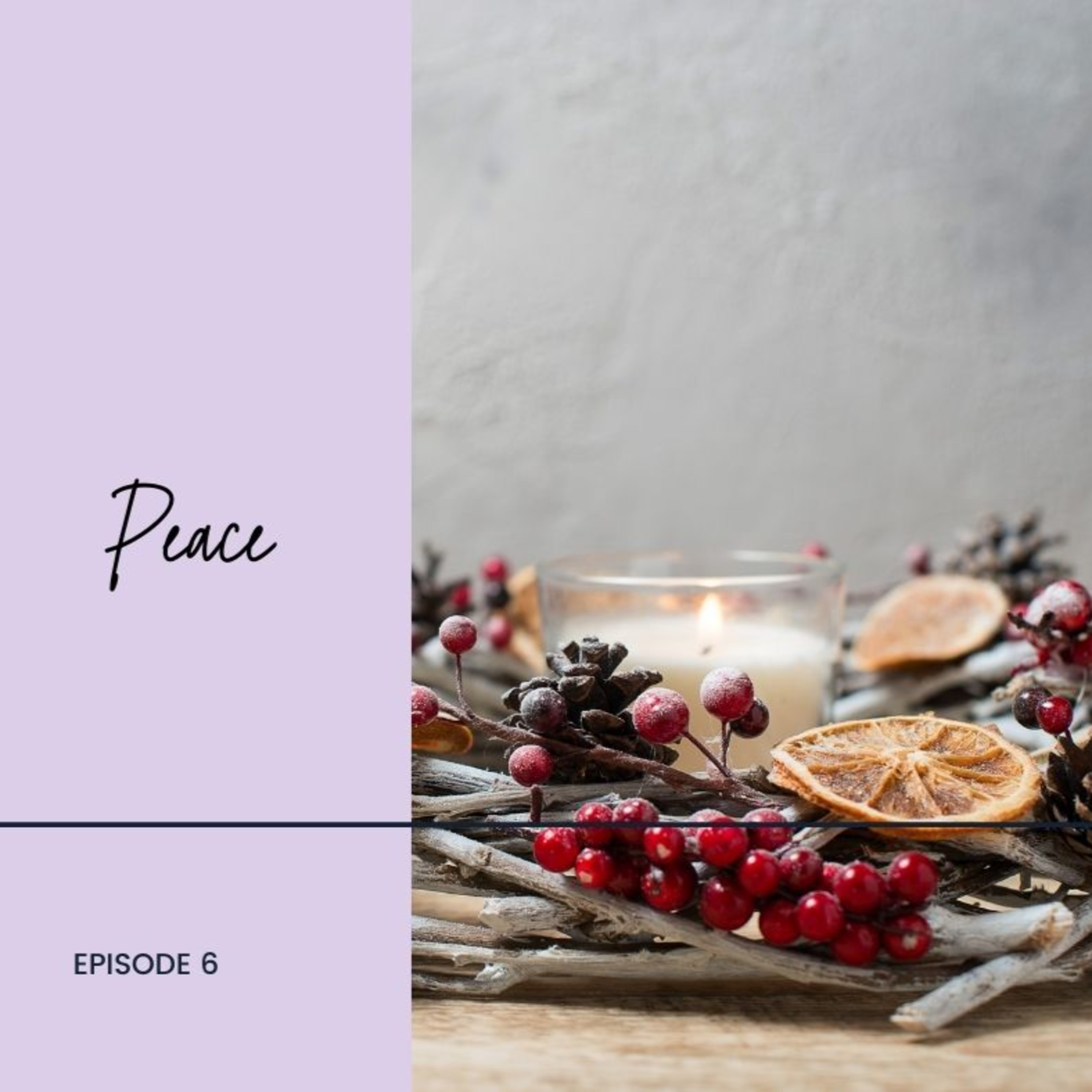 The Wisdom Matters Podcast