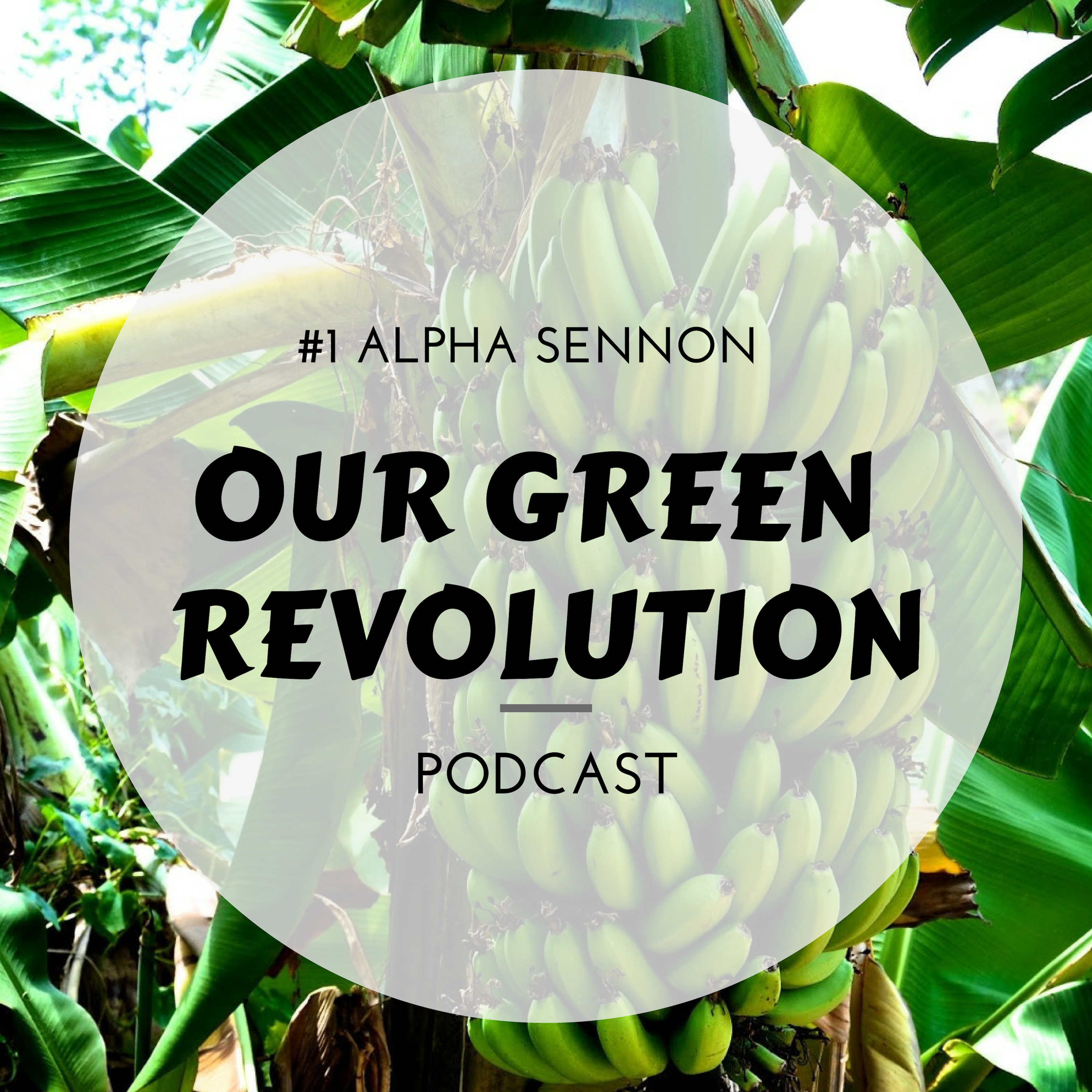 Our Green Revolution #1 - Alpha Sennon (We.Help.Youth Farm)