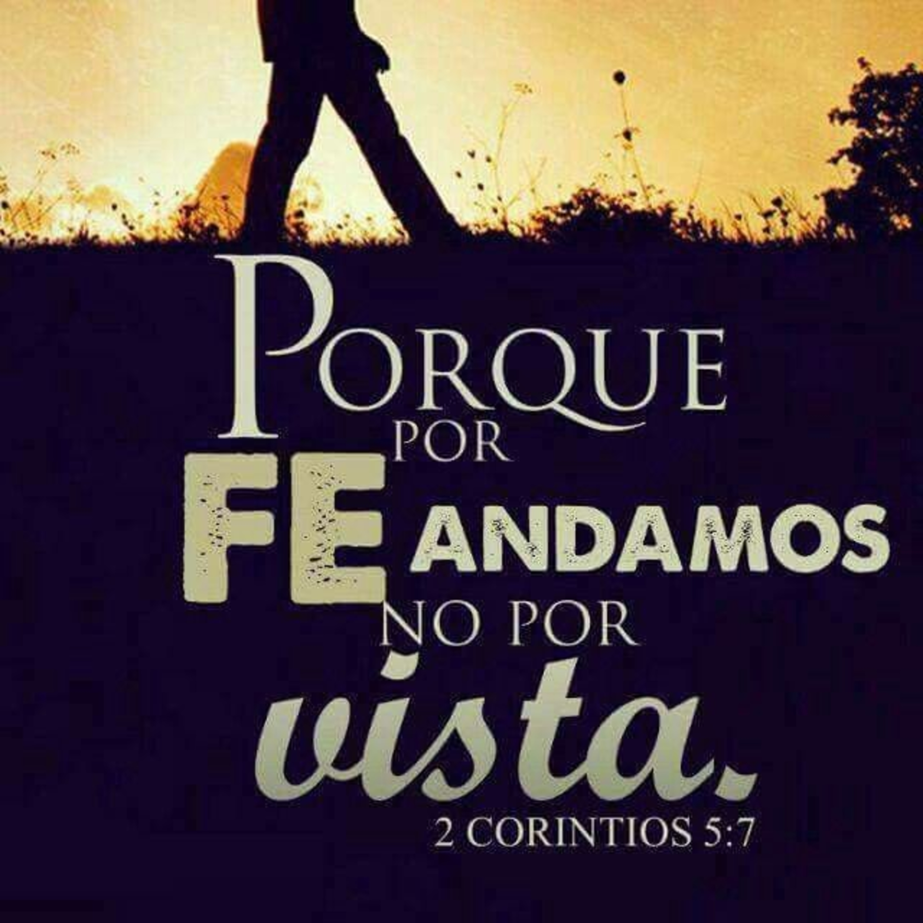 Orando A Dios De Mañana. Día 246