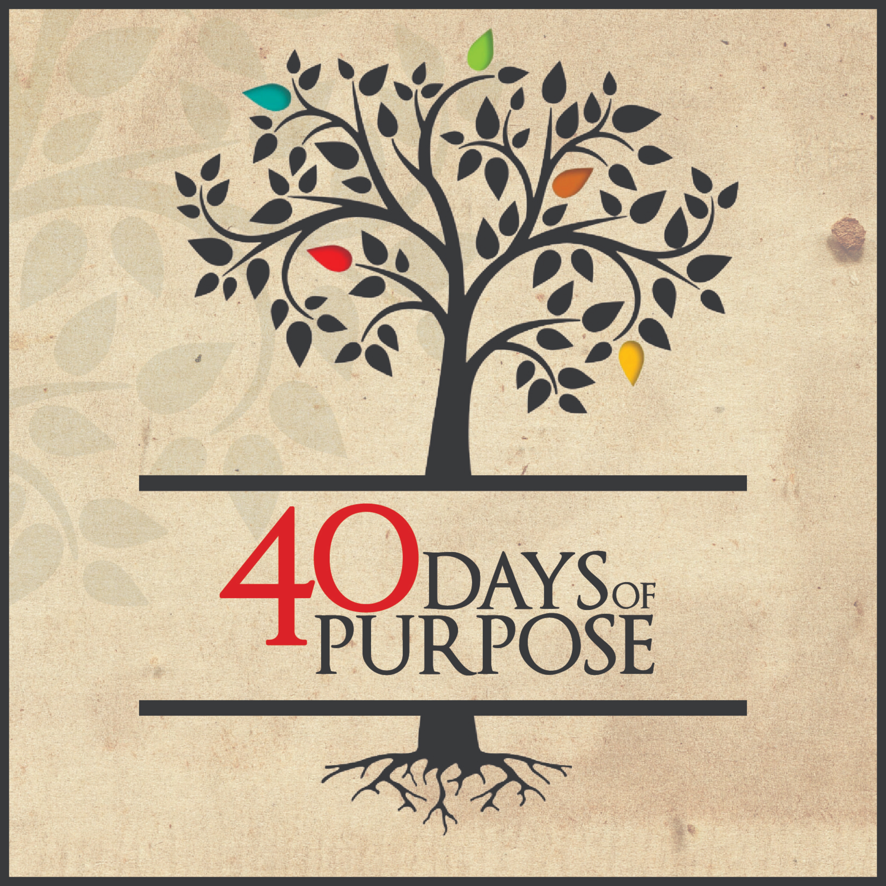 40 Days of Purpose // Don't Waste Your Life - Pastor Jon episode artwork