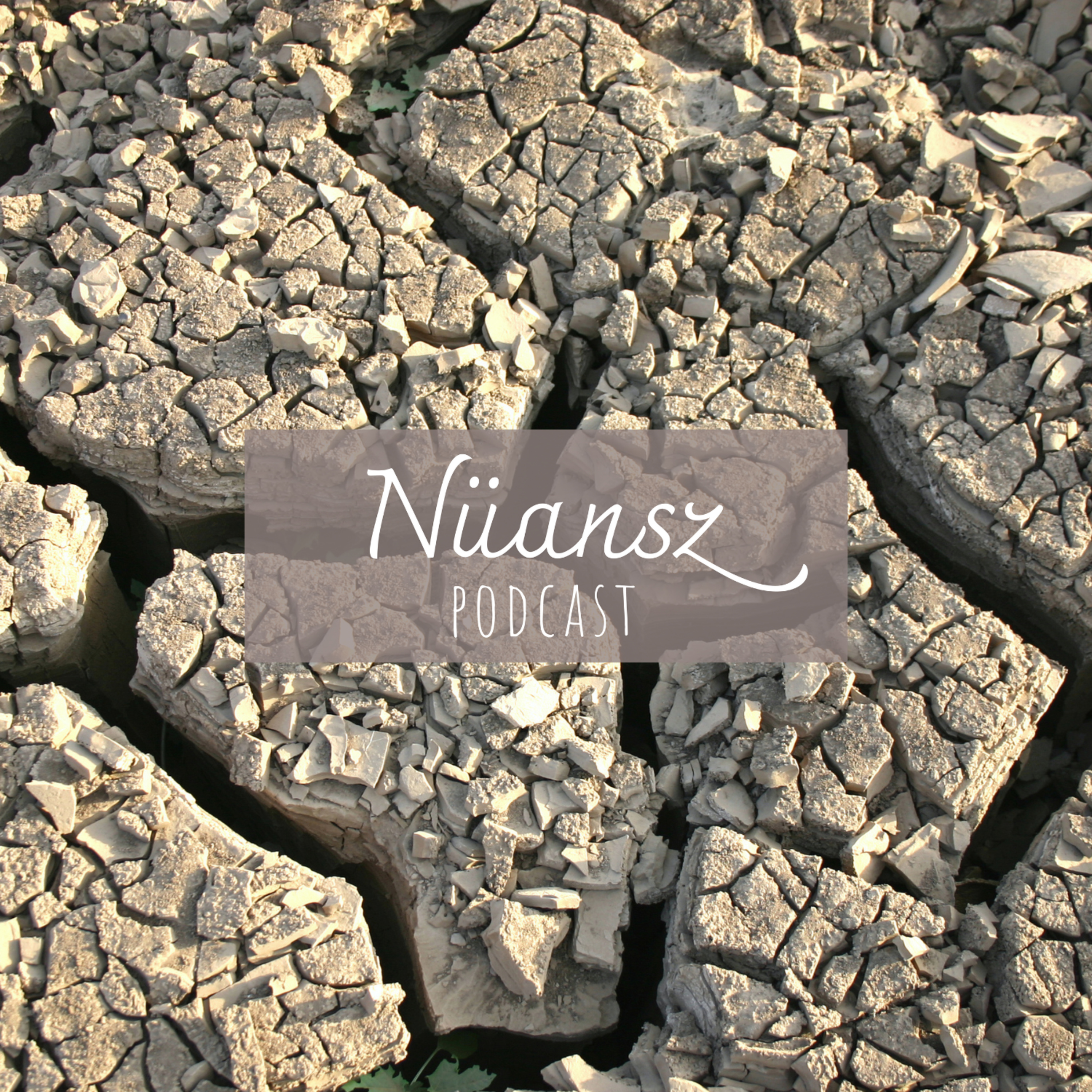 Nüansz