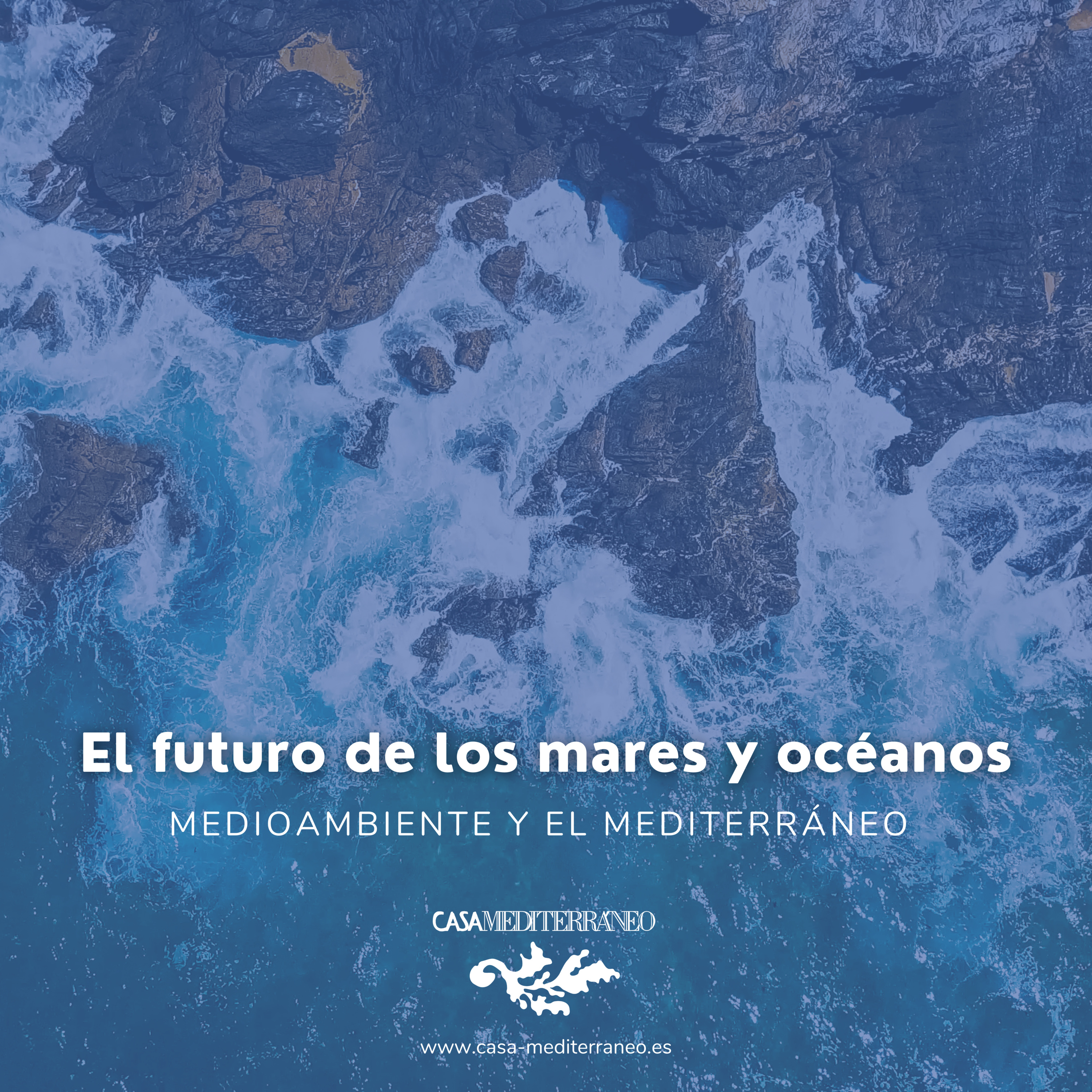 El futuro de los mares y océanos. 7.Jul.2021 episode artwork