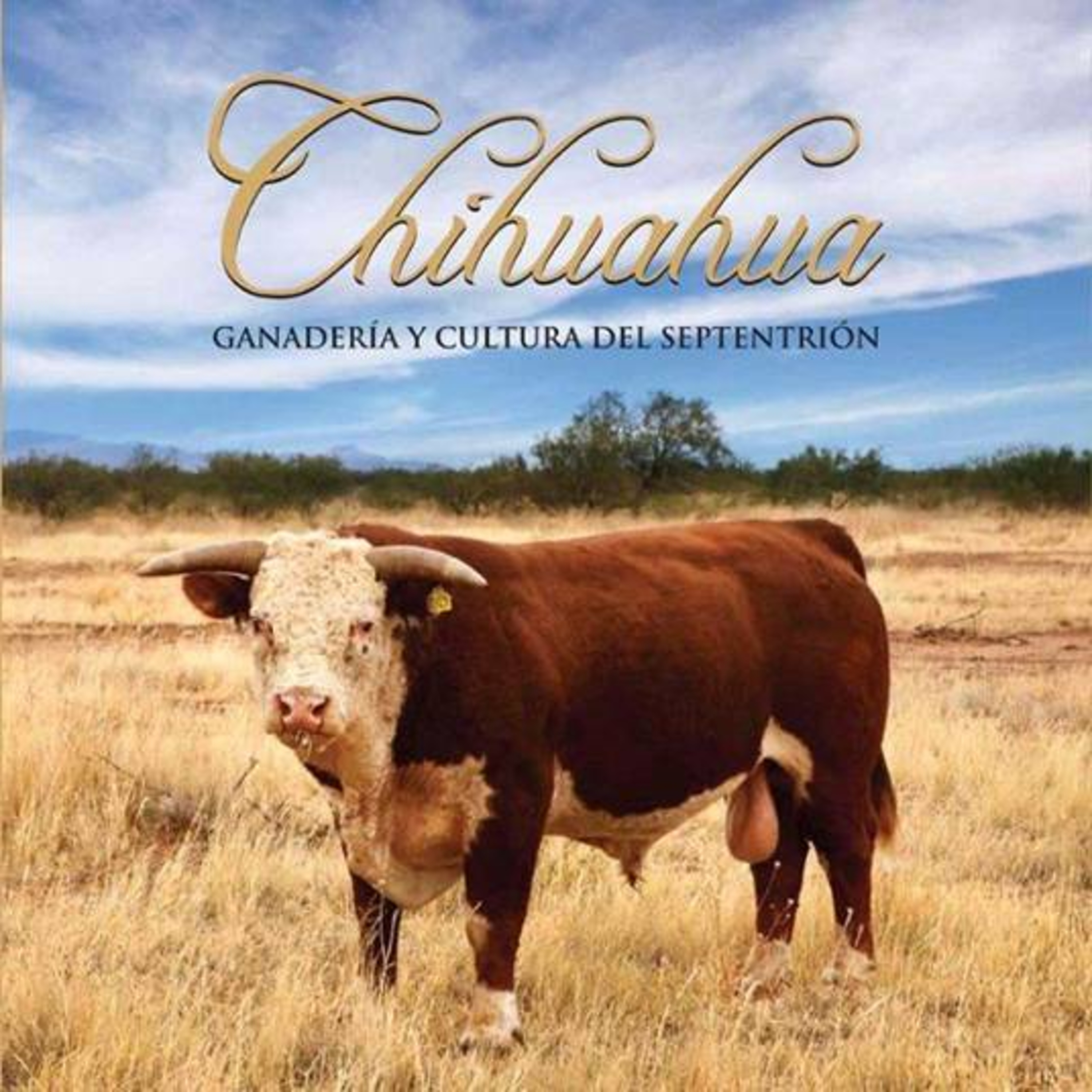 El Pasajero