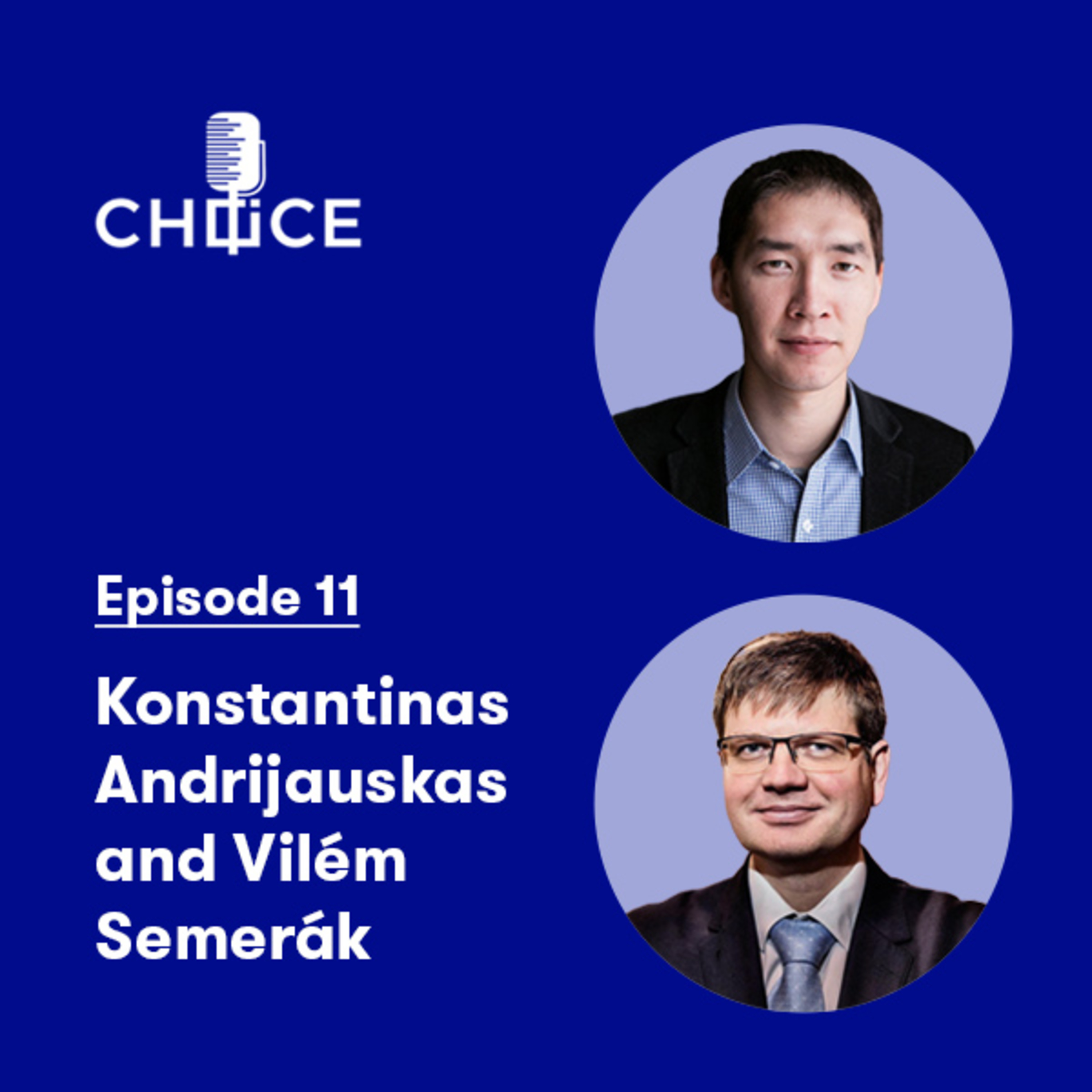 Voice for CHOICE (China Observers in Central and Eastern Europe)