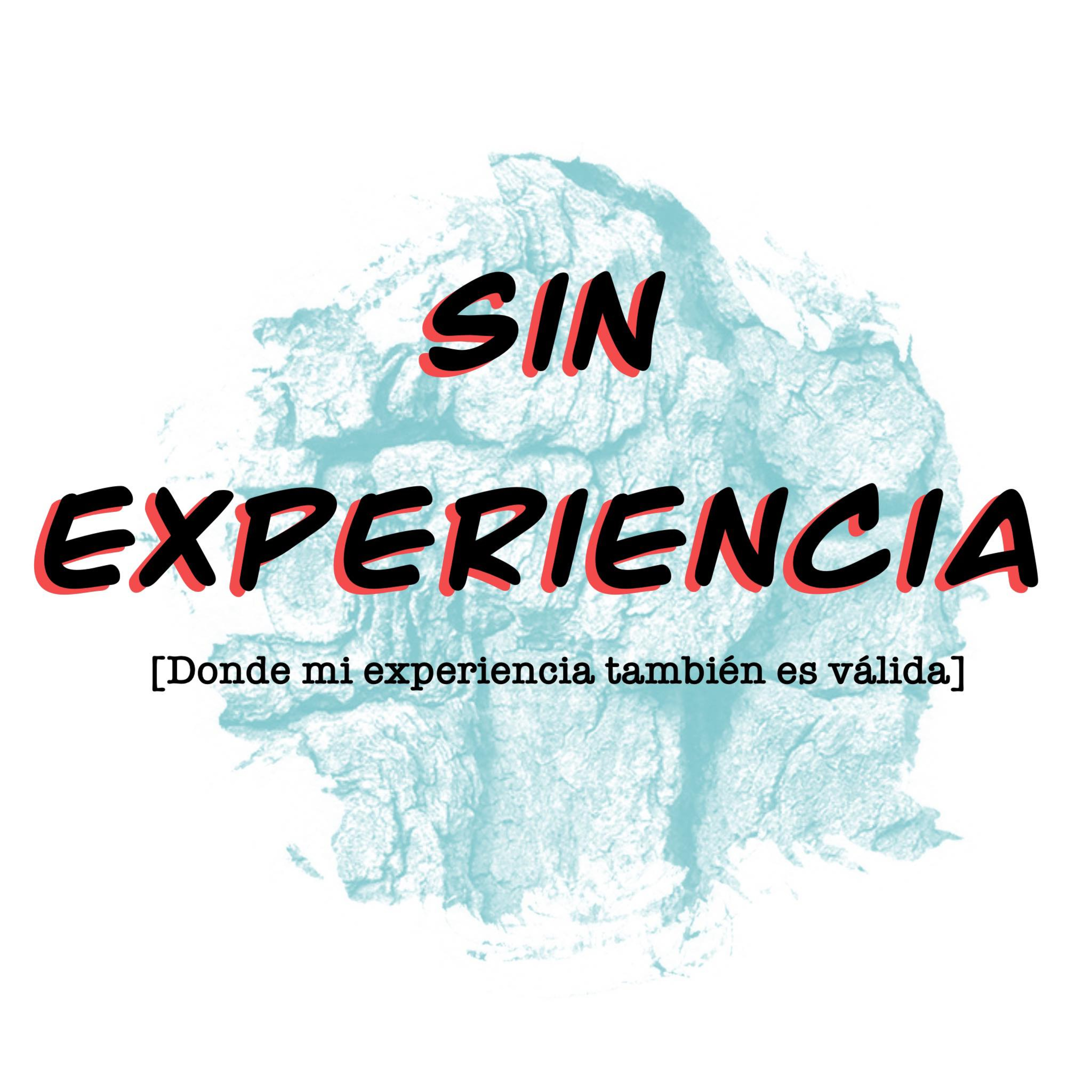 Portada de Sin Experiencia